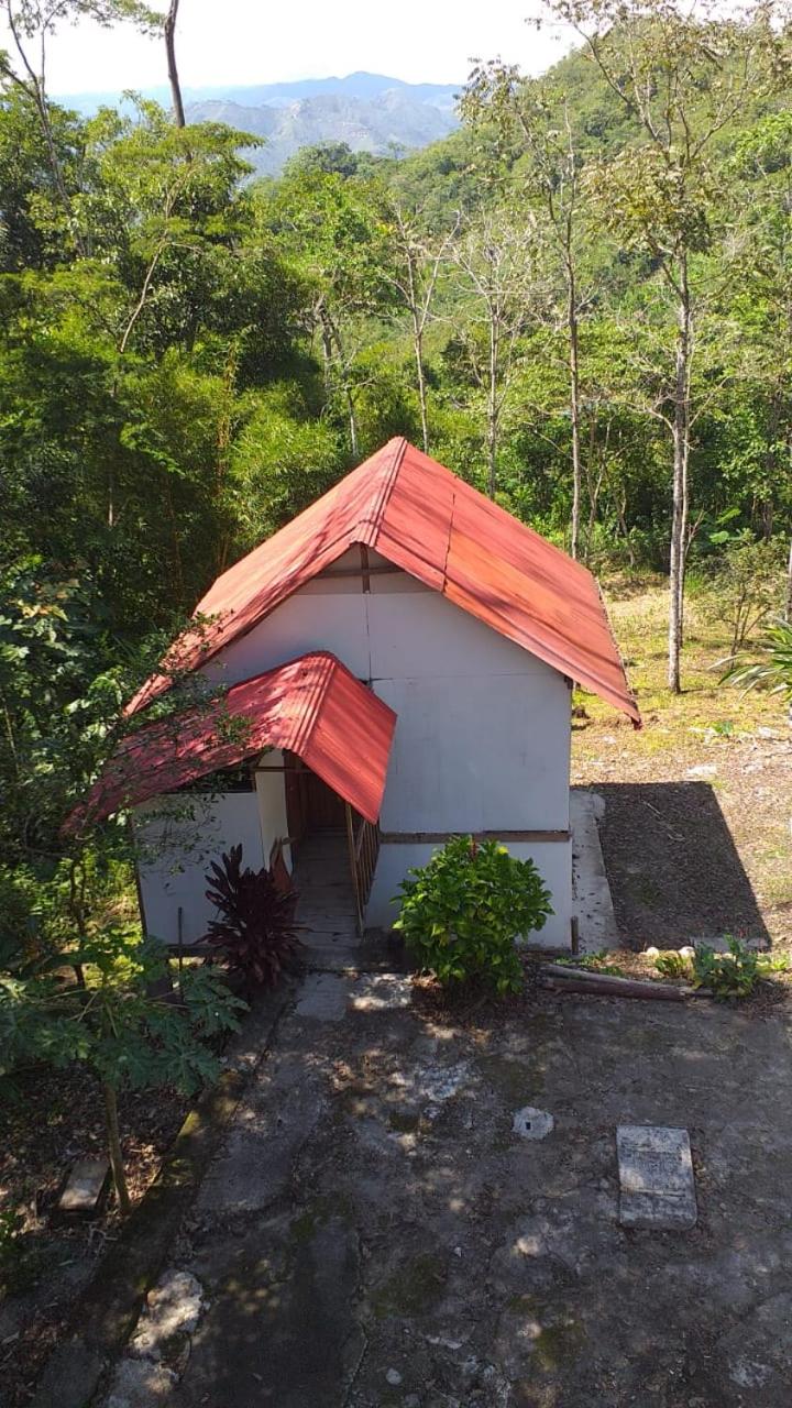 Cabañas del bosque Don Efraín-La Merced