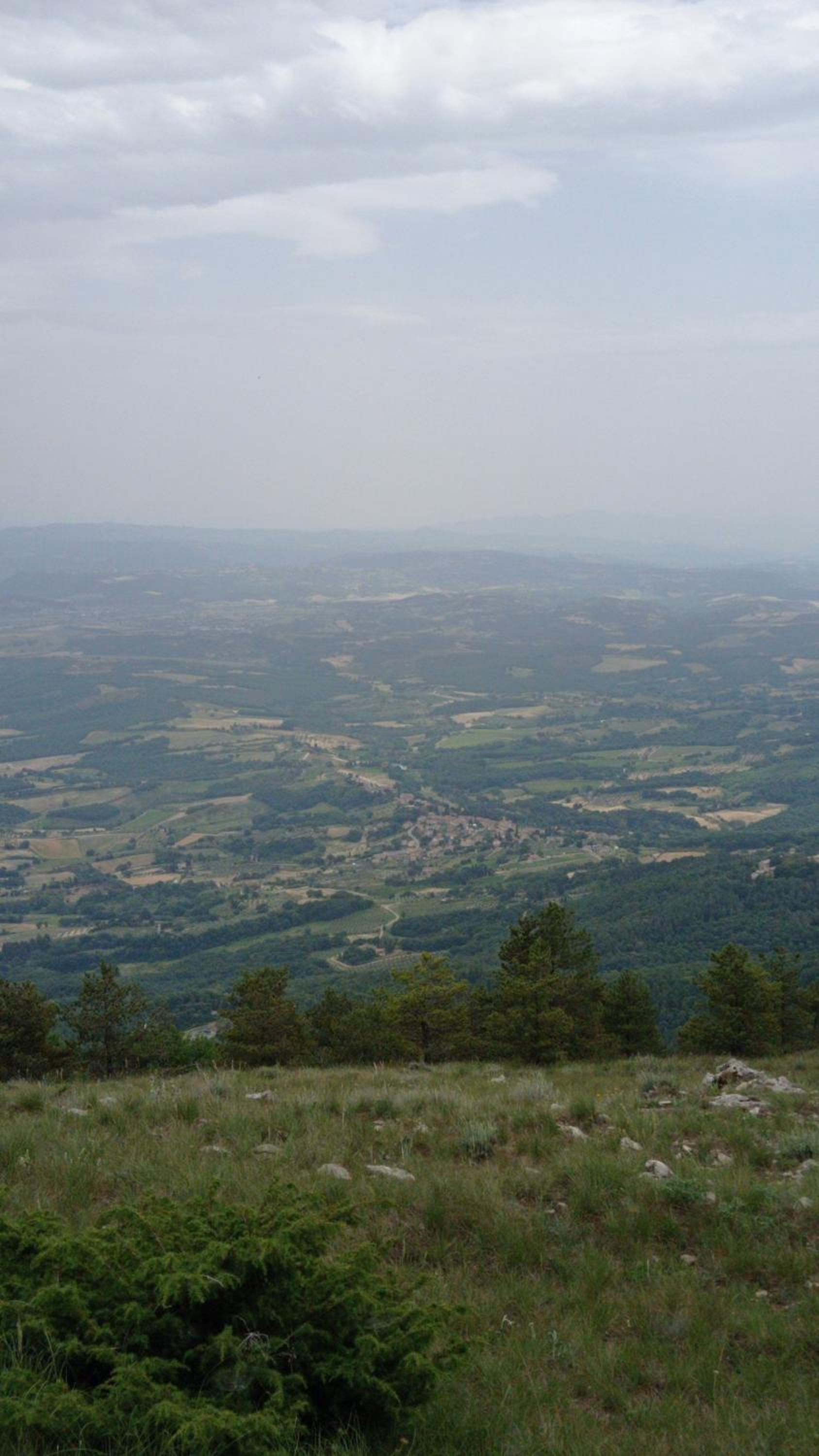 Photo 33