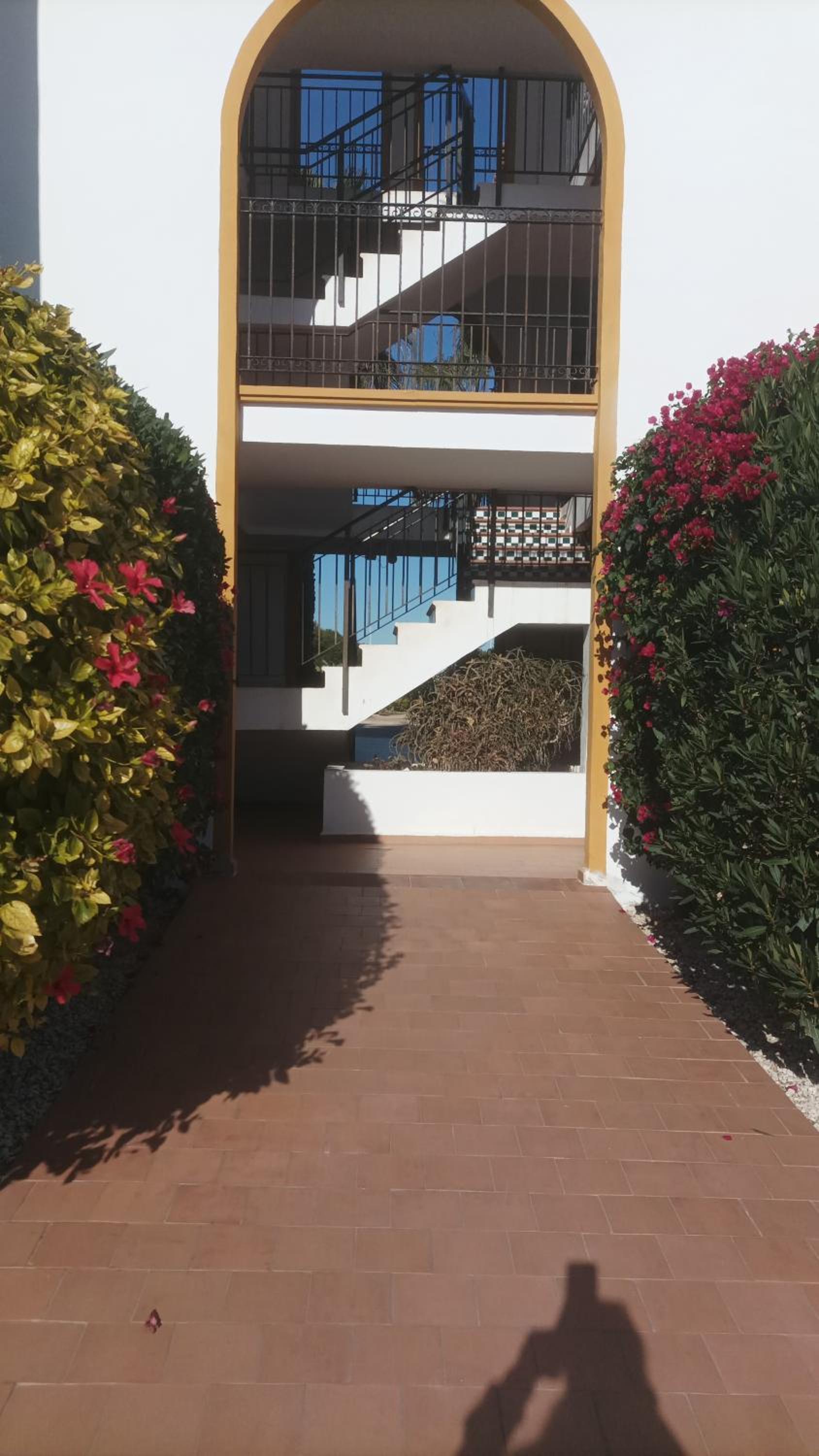La zenia Molino blanco