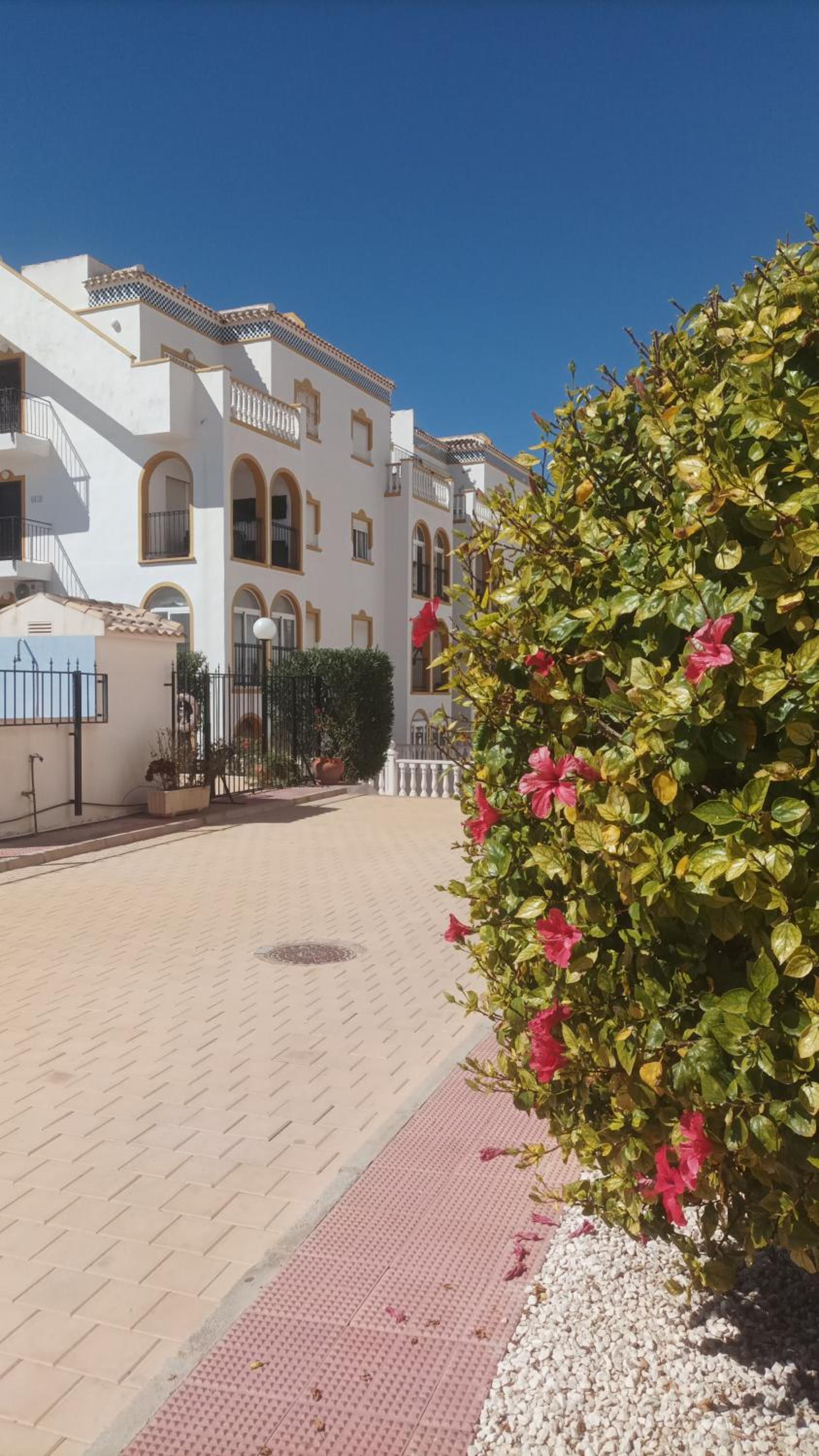 La zenia Molino blanco