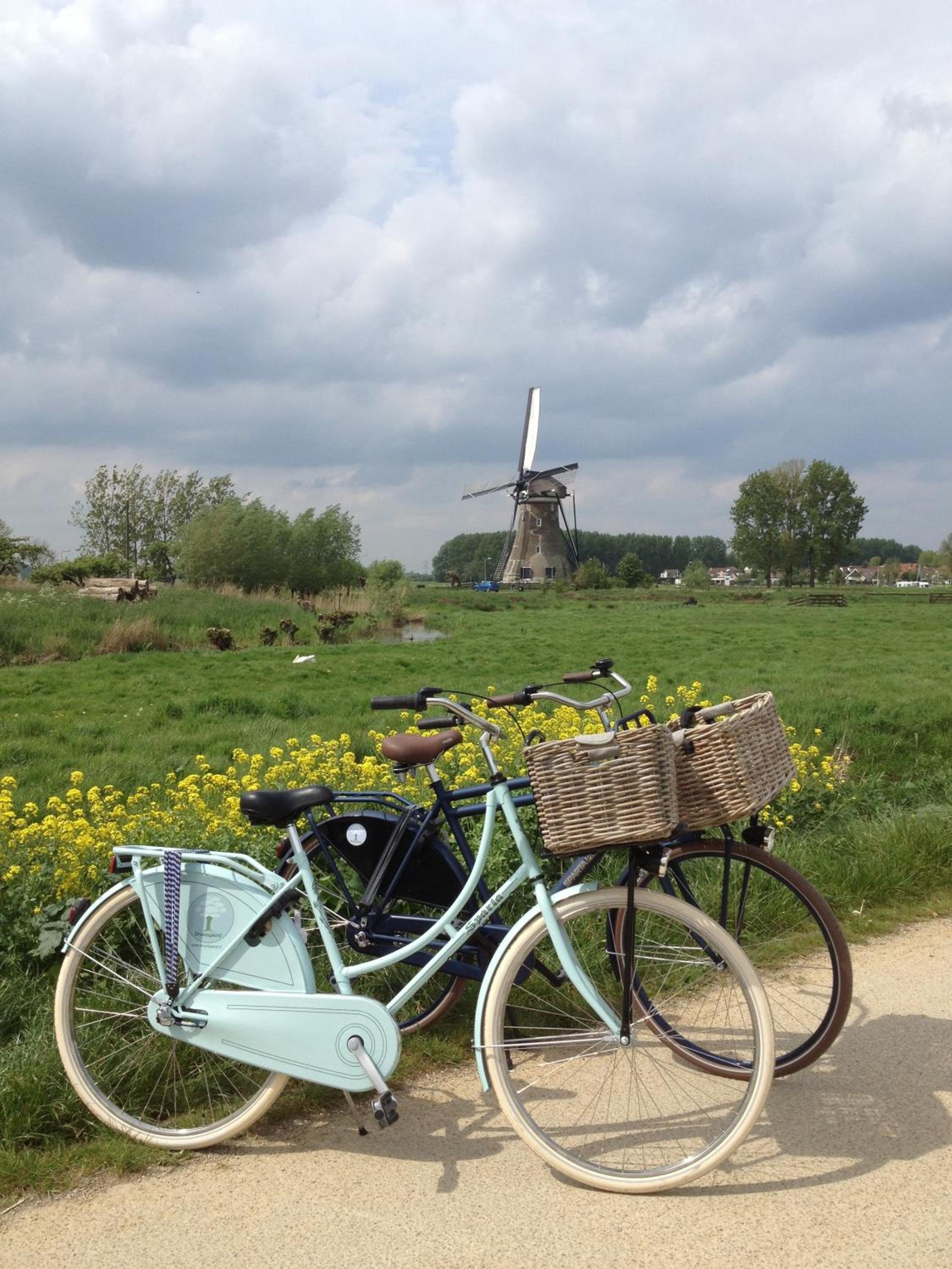 Droomgaerd view 3