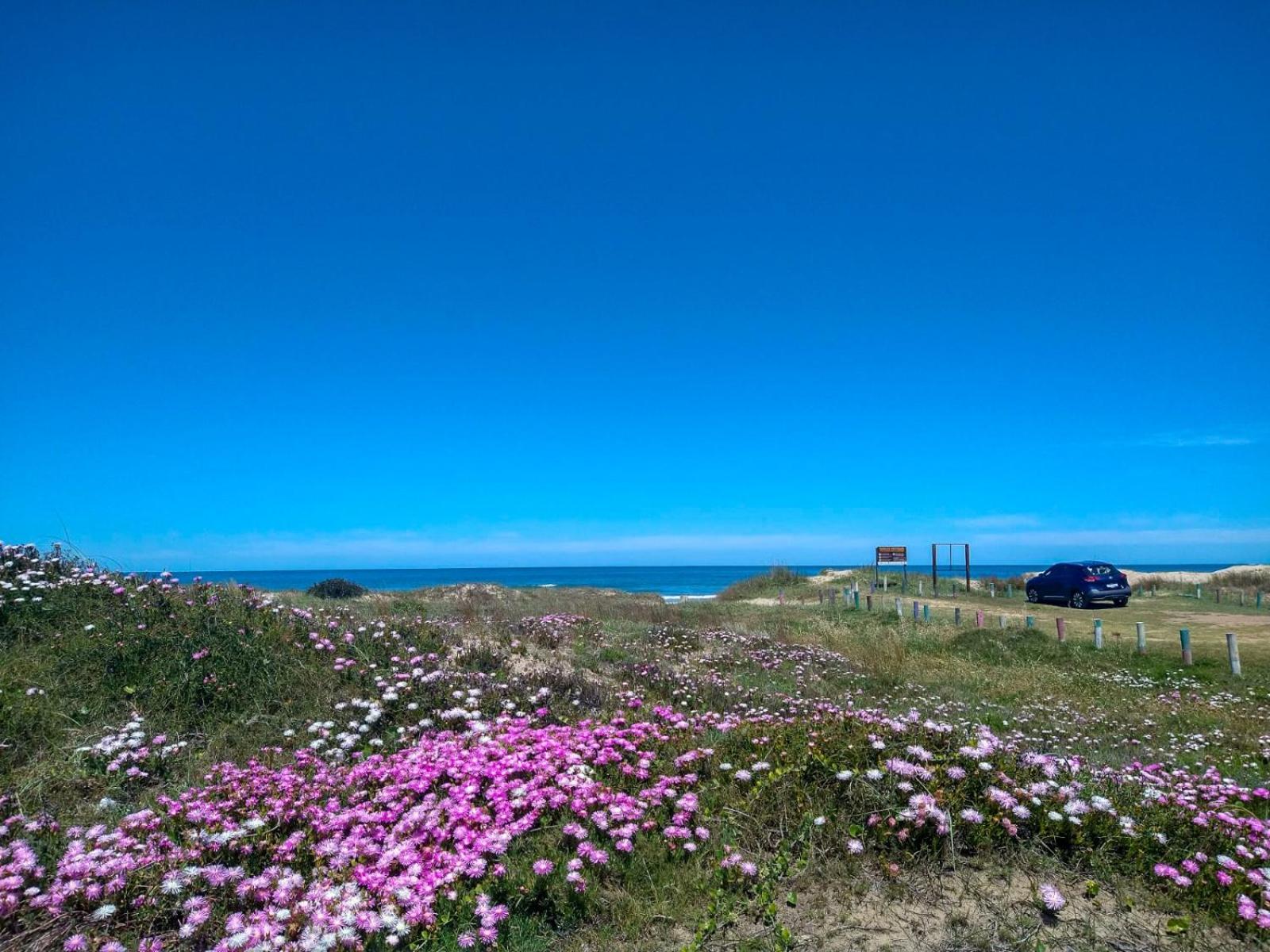 Mar