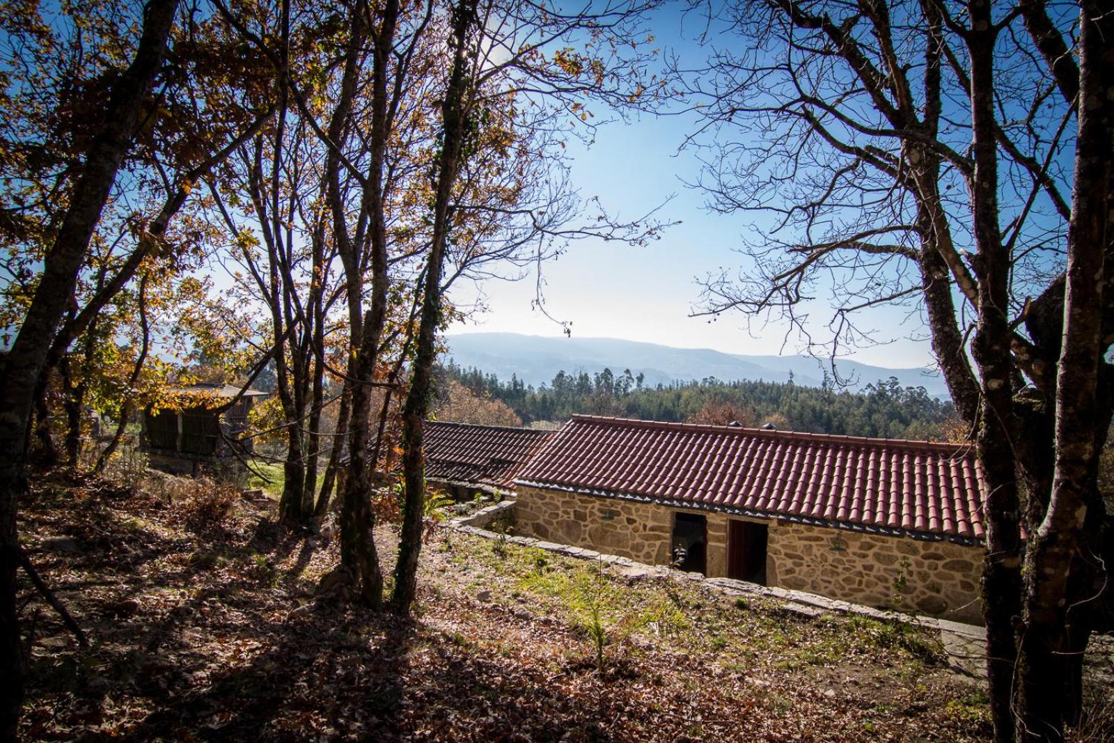 Casas dos Avos