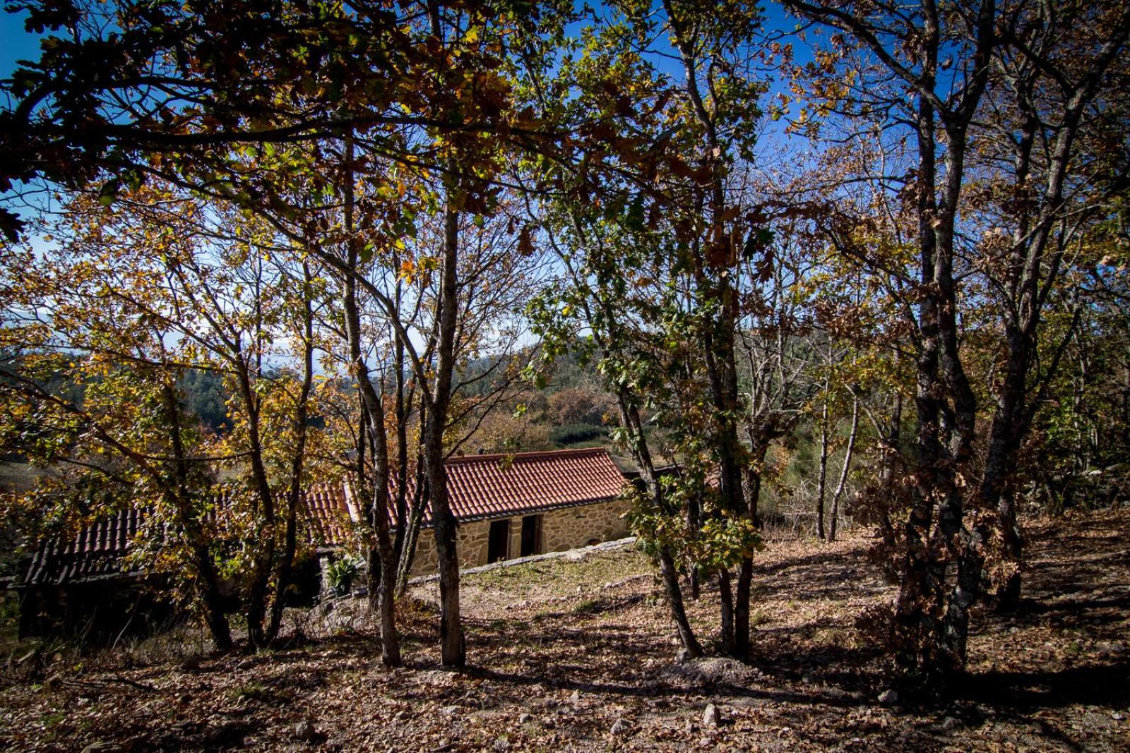Casas dos Avos, photo 34