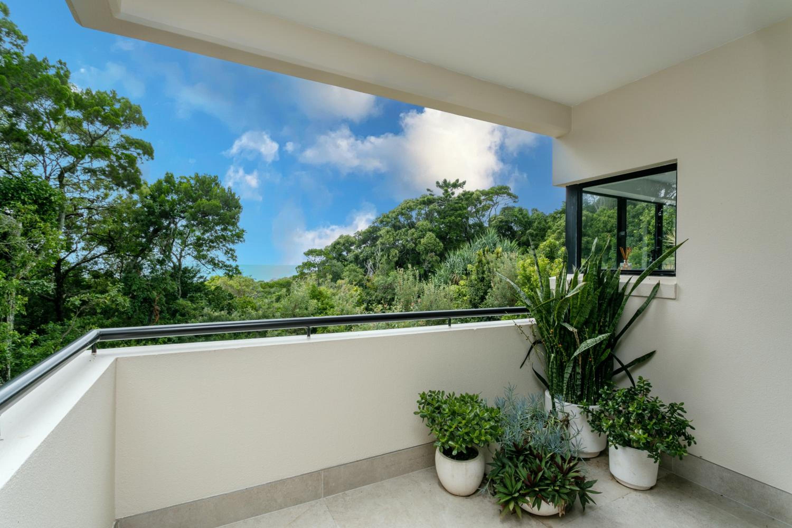 Papillon Coolum