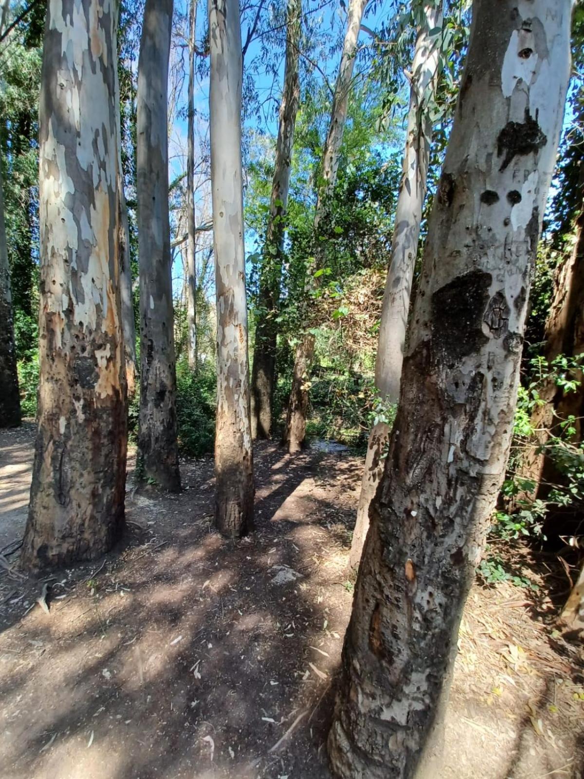 CASA SENDERO DEL RIO