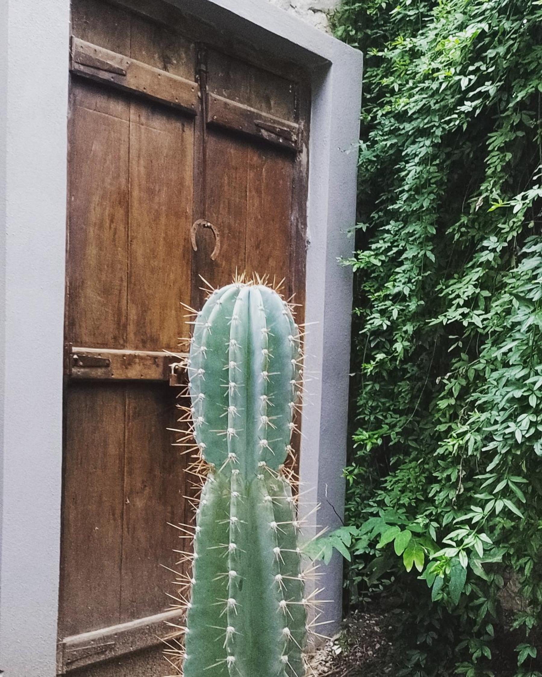 Lacasitadepiedra_Cabana
