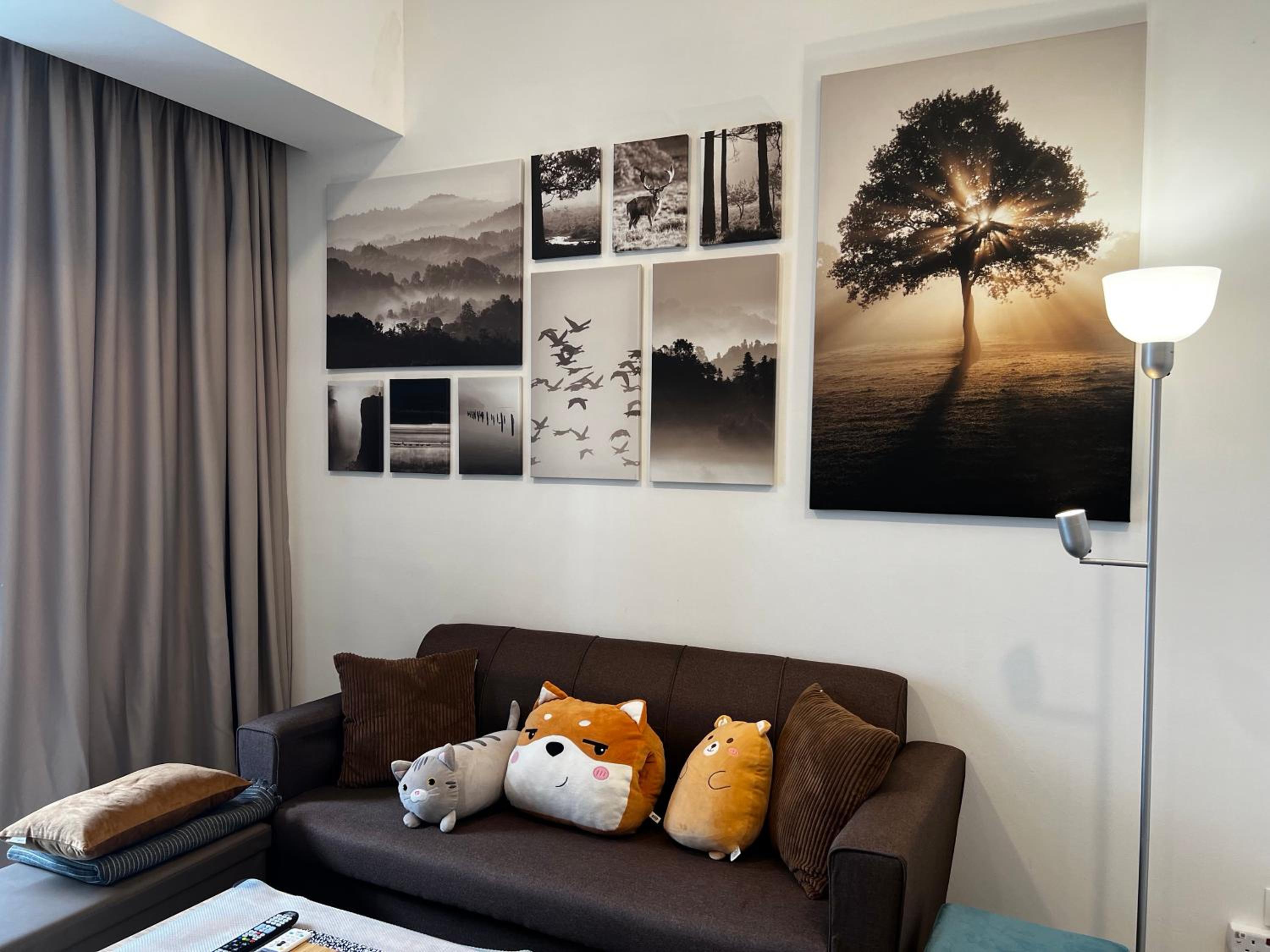 The Ooak Suite