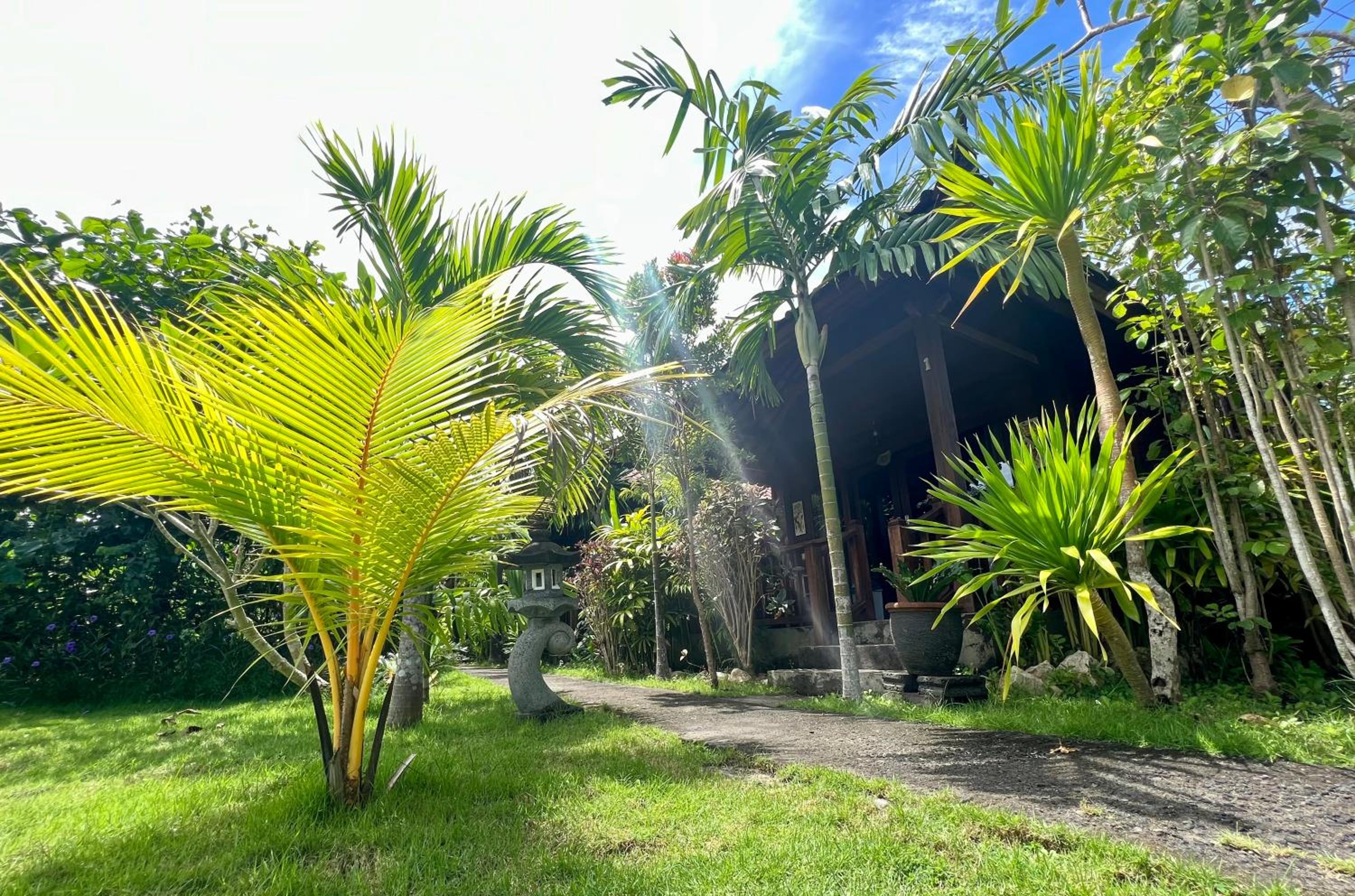 Photo 12