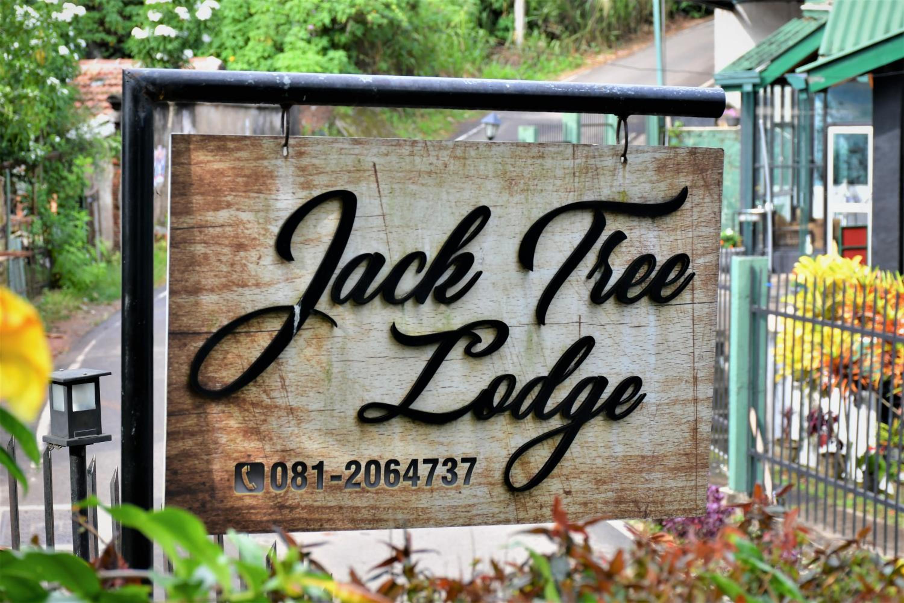 Jack Tree Lodge