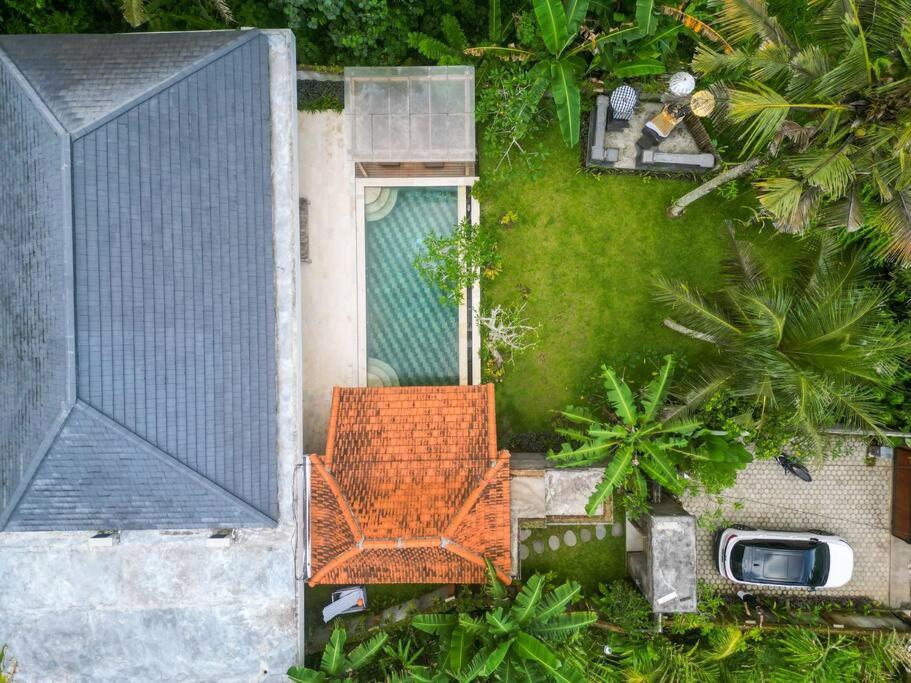 New 4 BR Villa surrounded by Jungle and Ricefields view 3