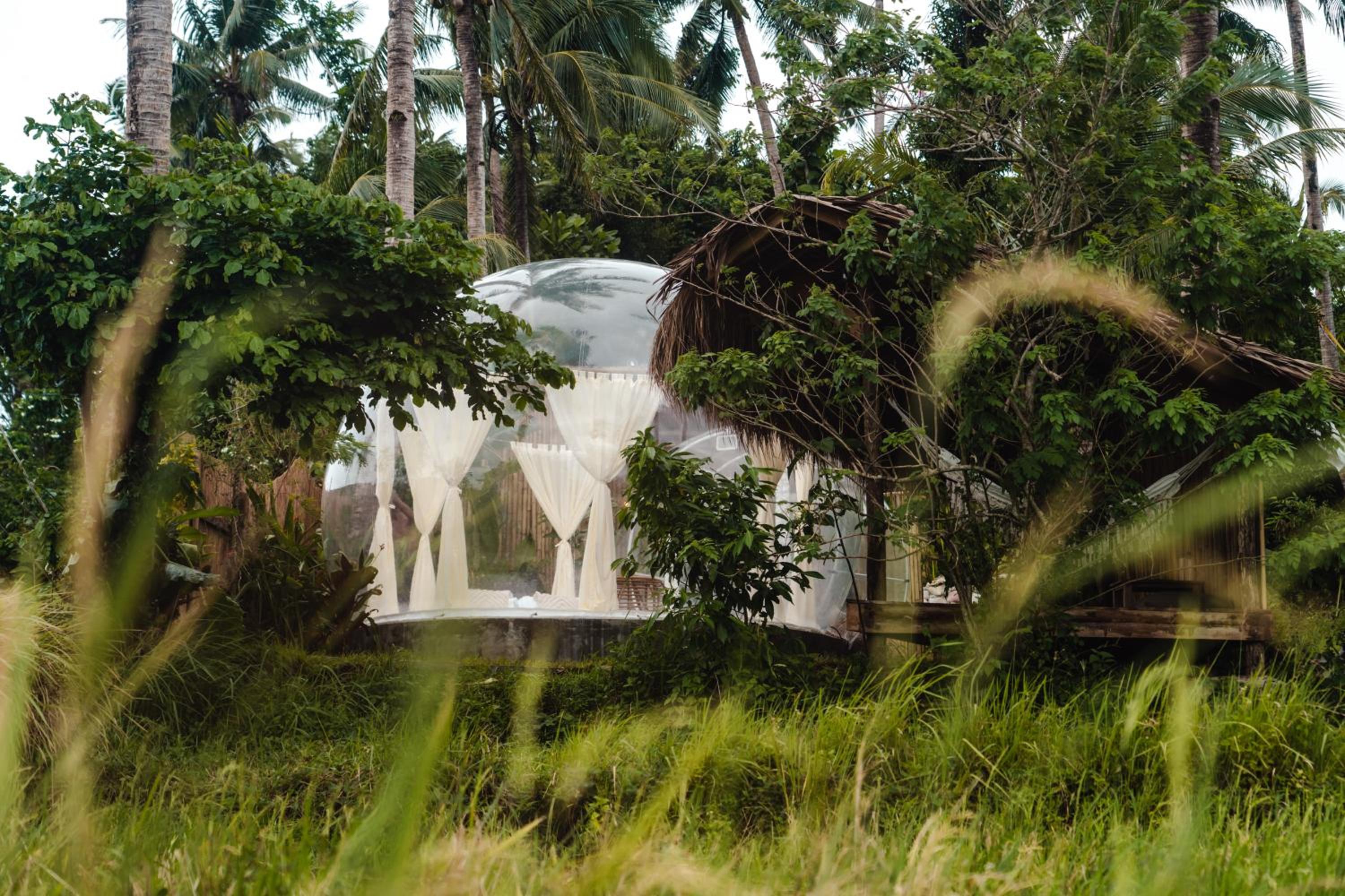 Bubble Siargao
