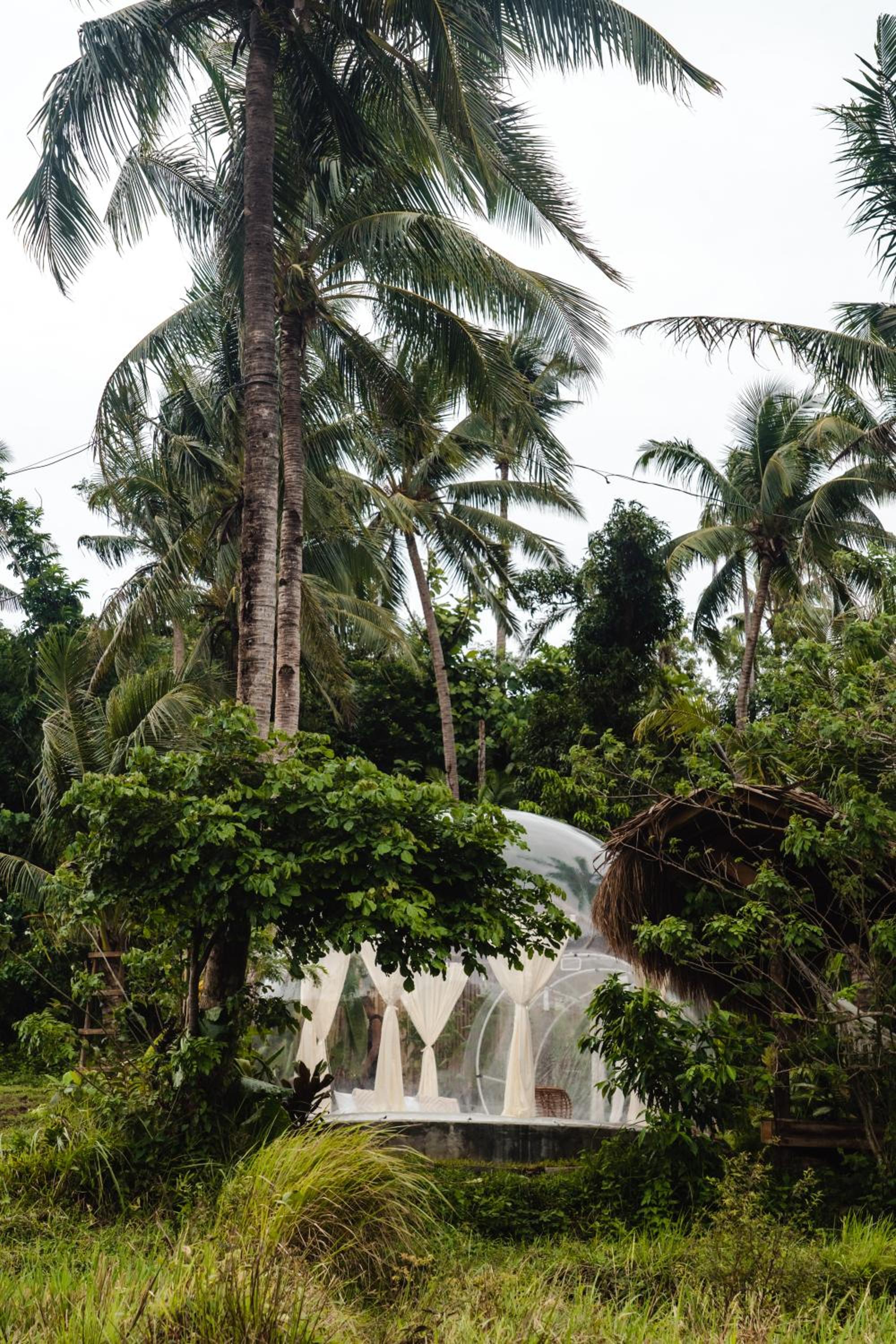 Bubble Siargao