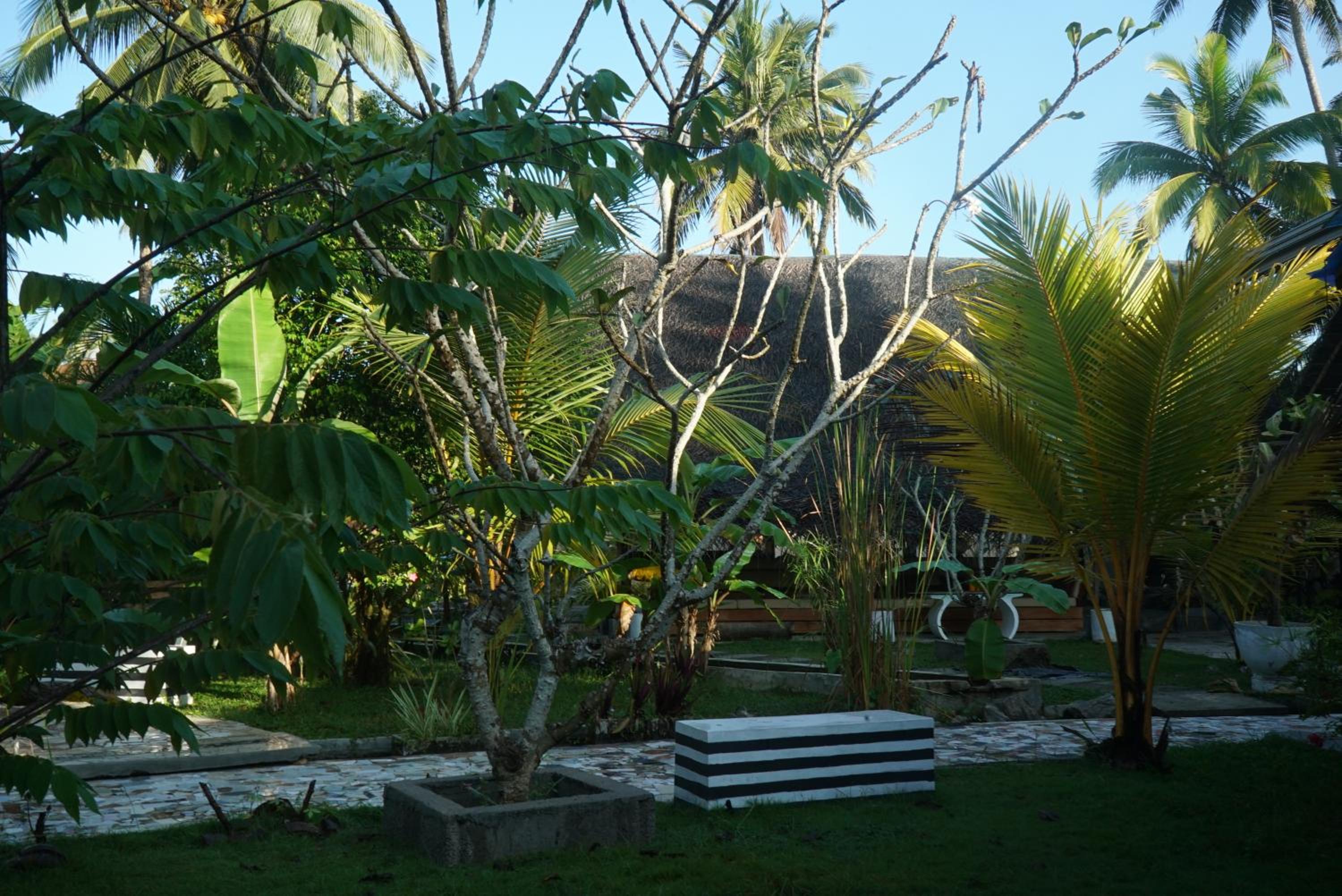 Photo 155