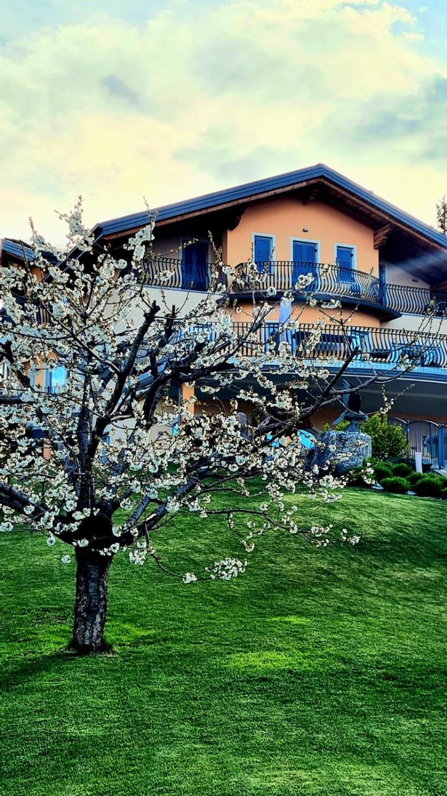 Affittacamere Dolce Sogno view 5