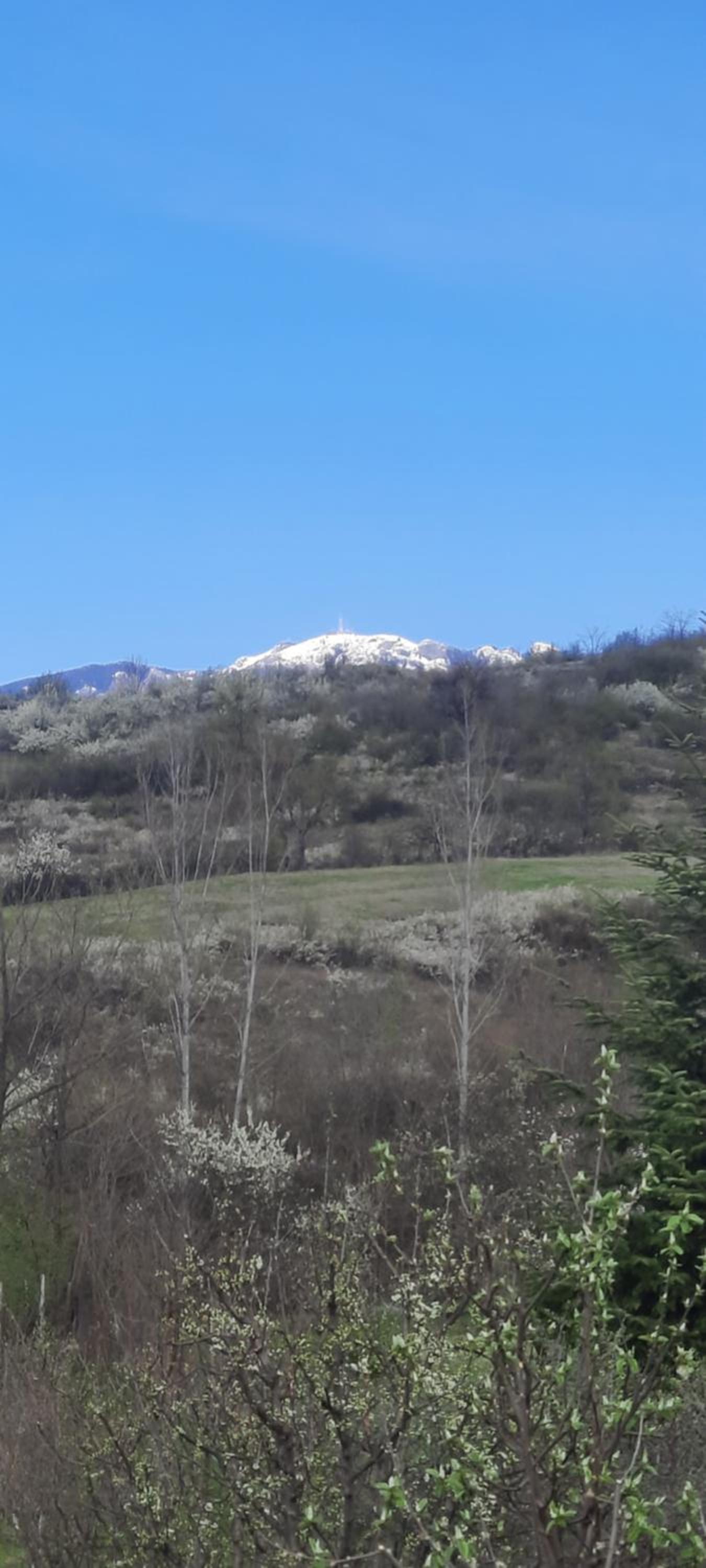 View Cozia