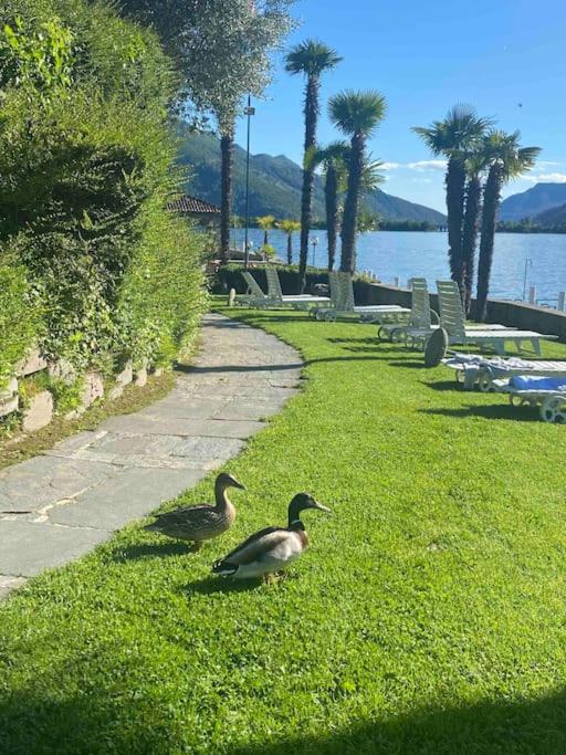 Apartment Bella Vista Lugano