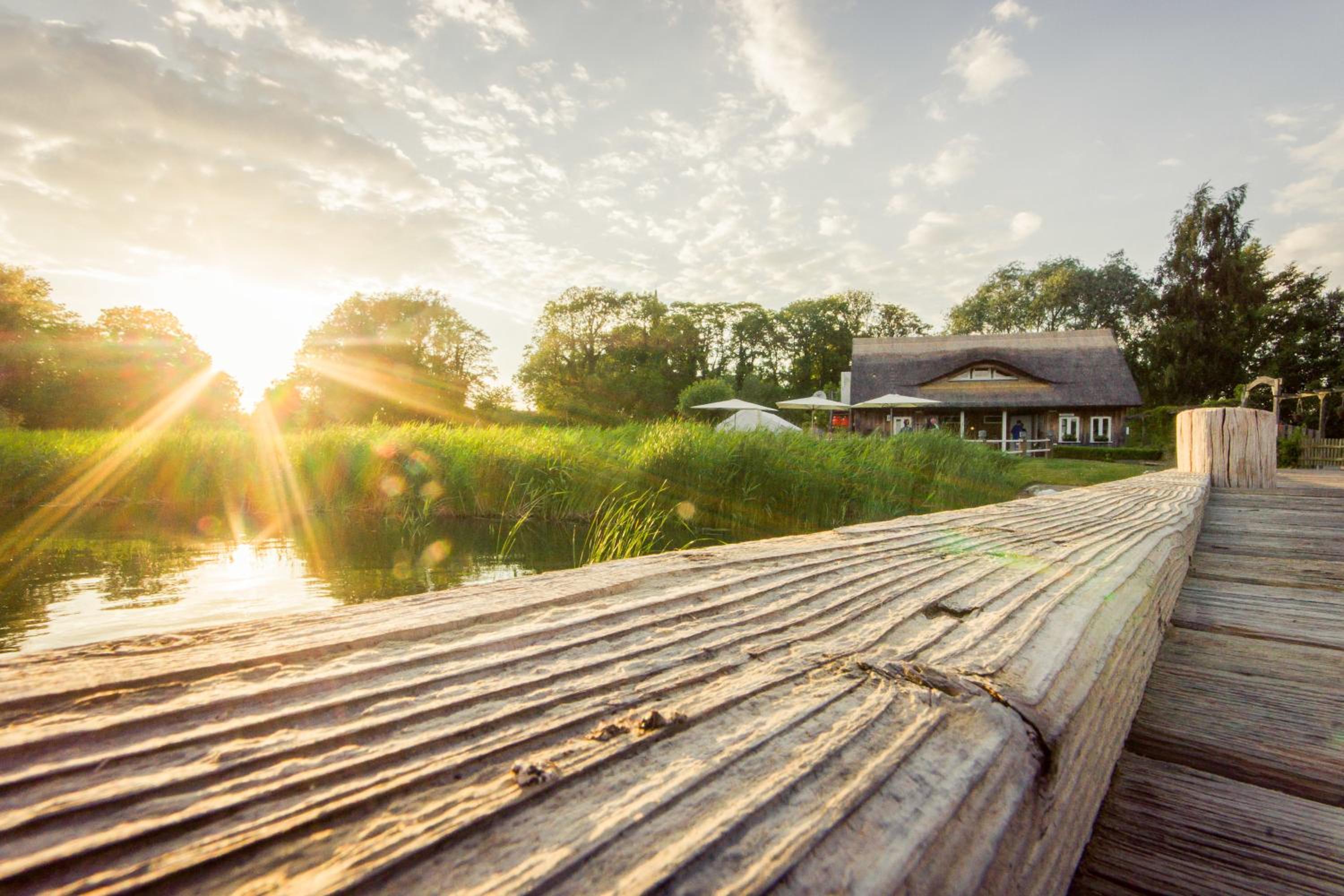 Komfort-Hausboote am Naturhafen Krummin