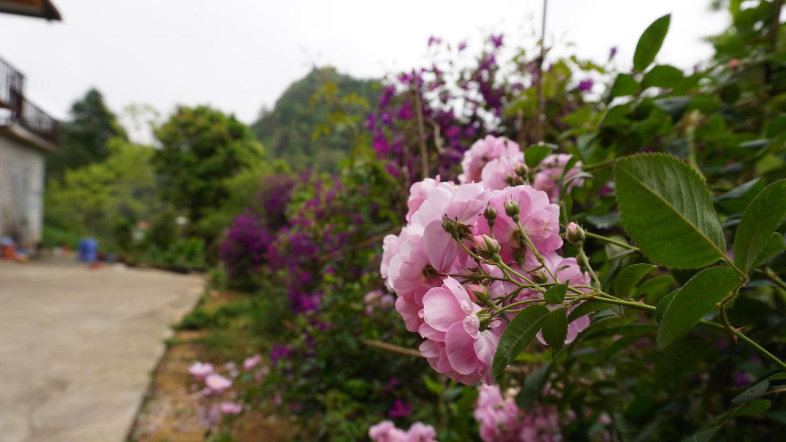 Photo 40