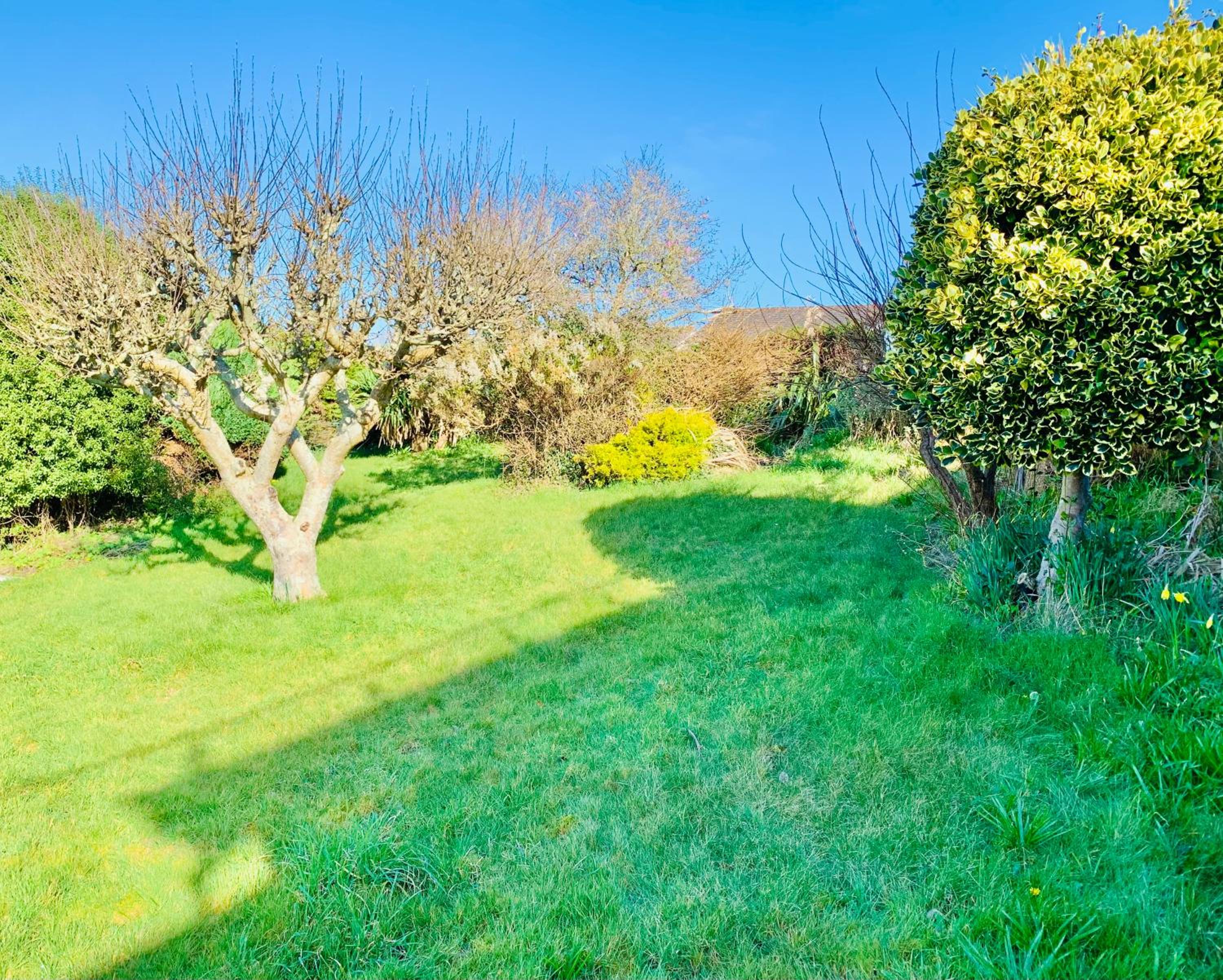Beautiful Garden Room with Private Entrance view 2