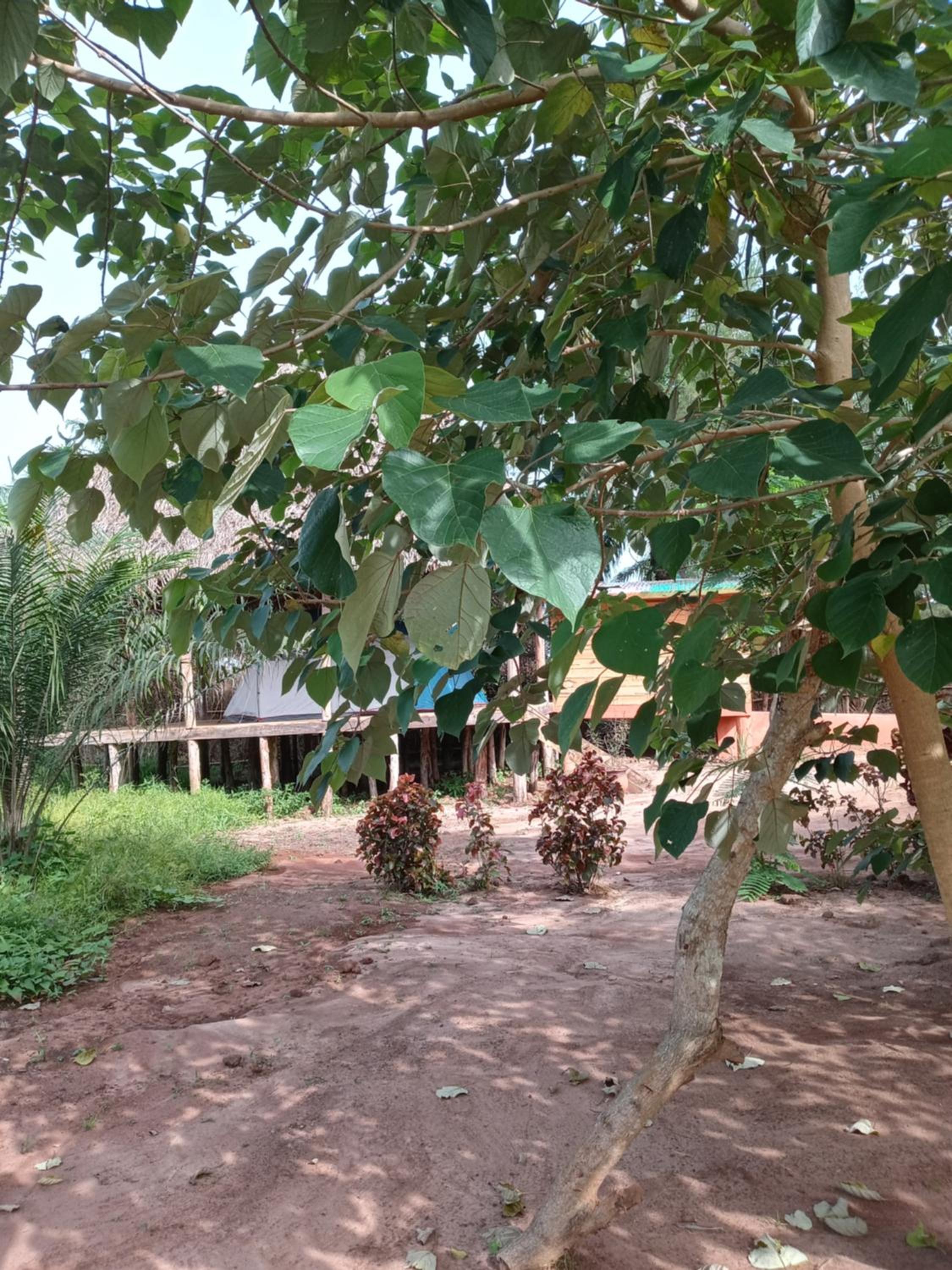 Glamping Lakeview Ouidah