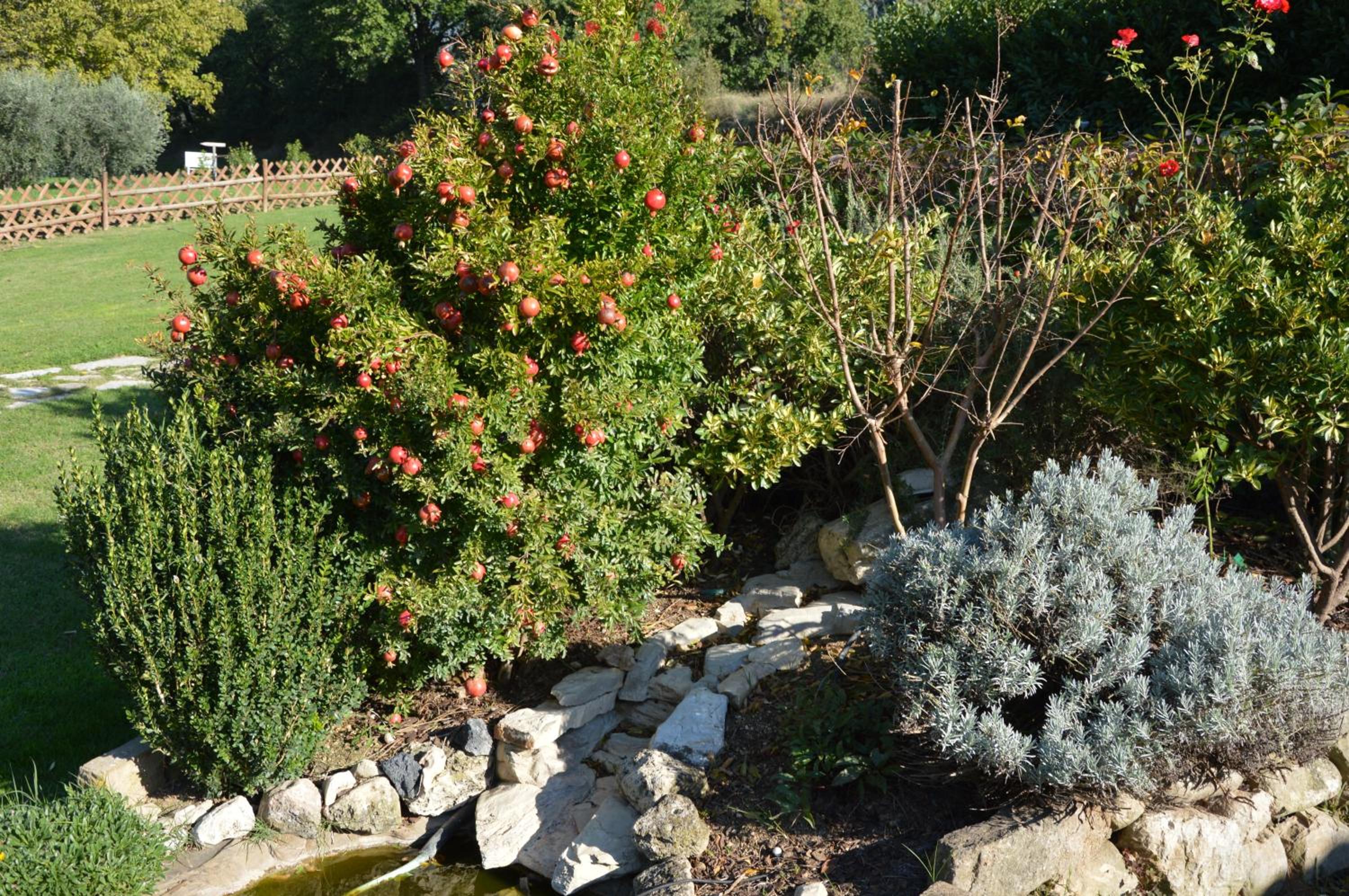 Photo 47