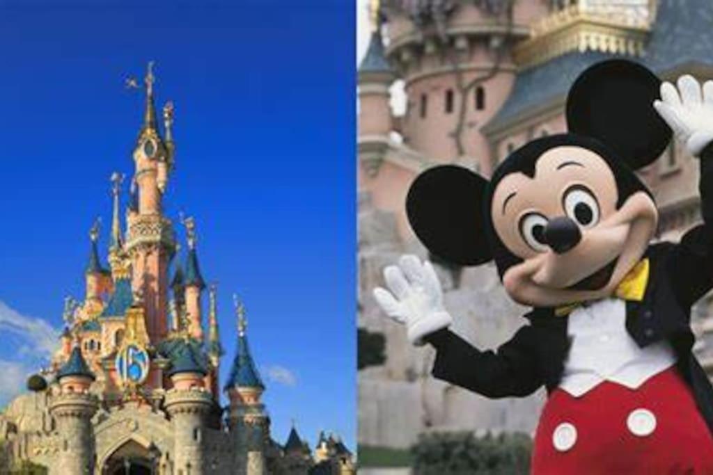 Cosy &Jolie Maison tout à coté de DisneyLand Paris