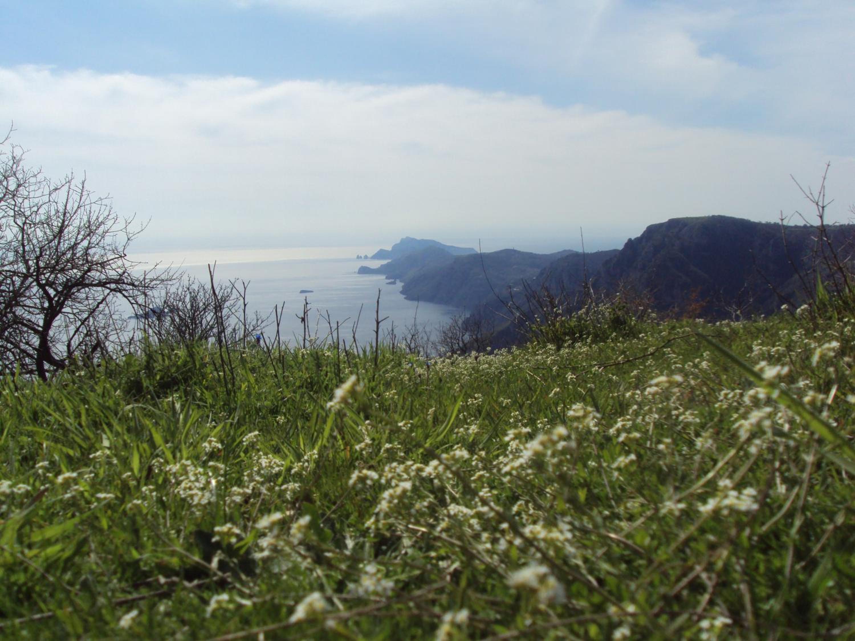 Gli Artisti