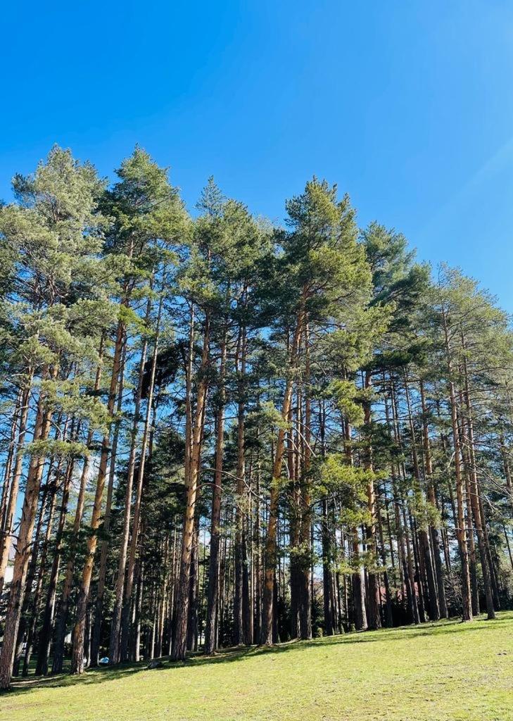 EVA apartman, Titova Vila, Zlatibor view 3
