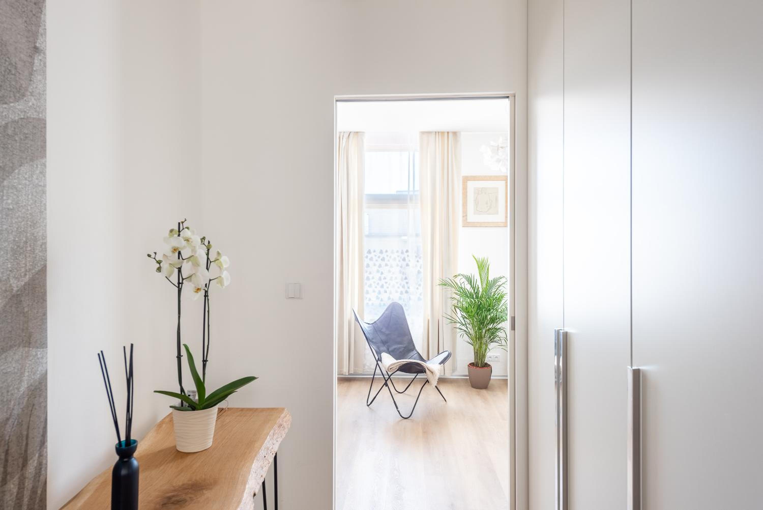 New modern apartment 5. floor
