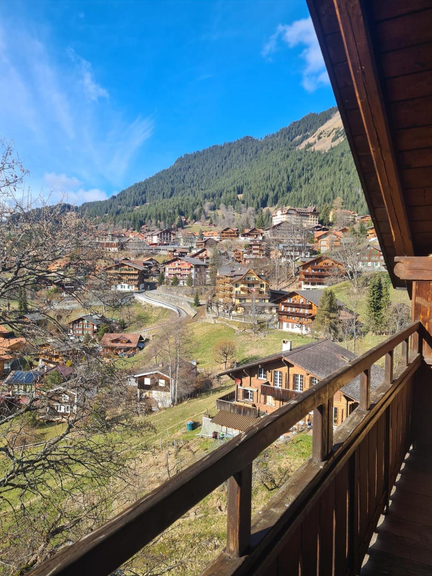 Traditional chalet in Wengen - Top Floor