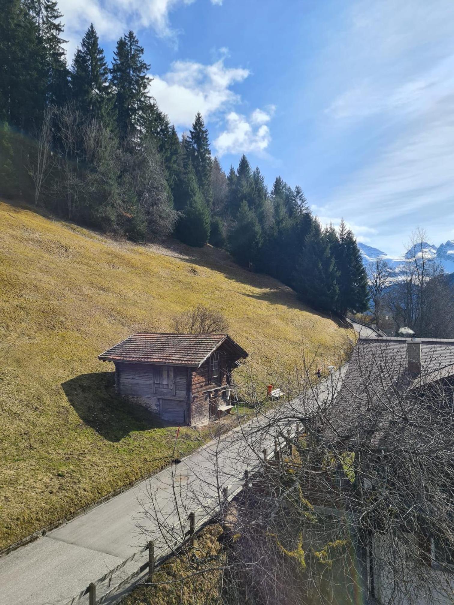 Traditional chalet in Wengen - Top Floor