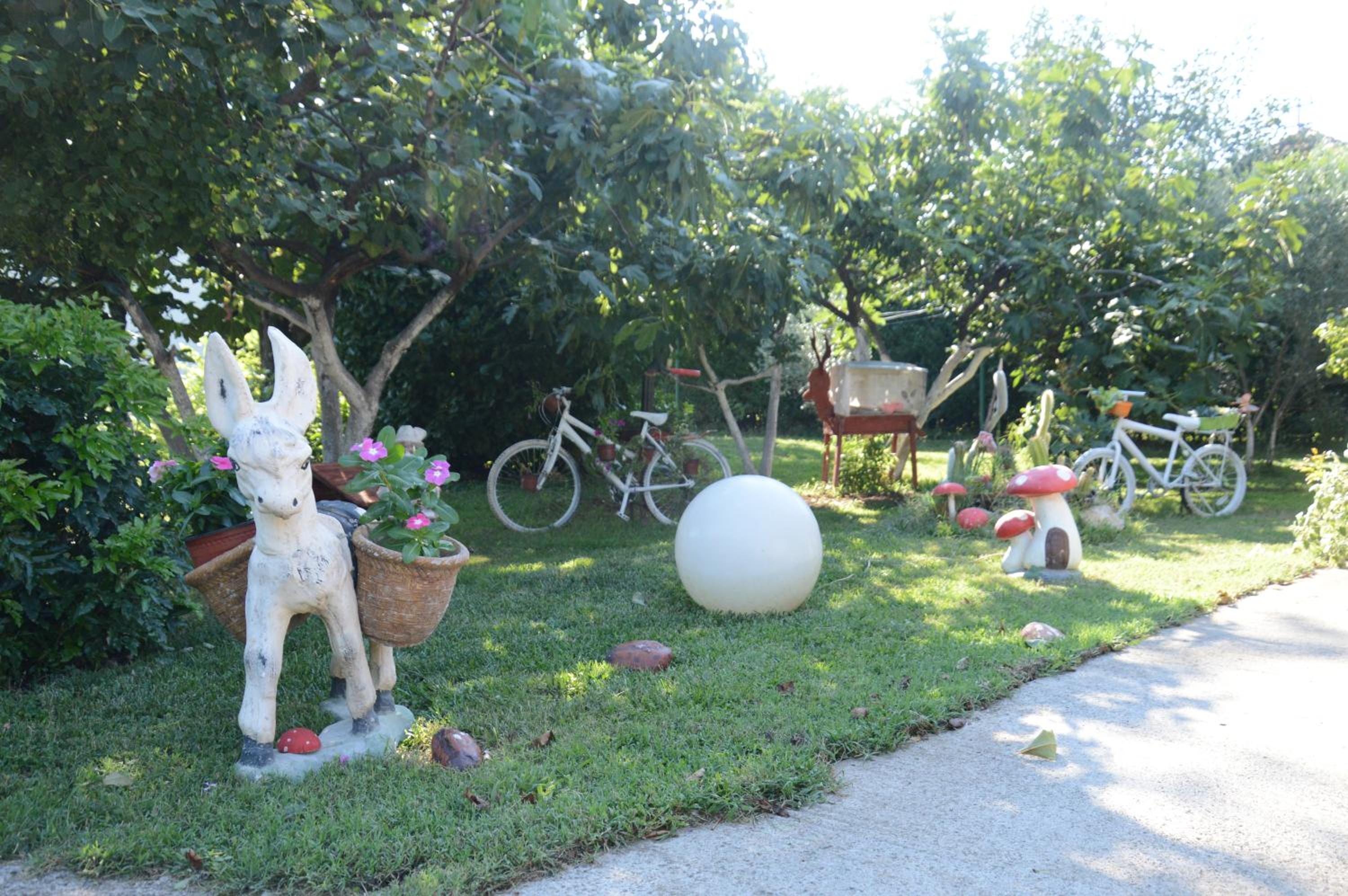 Photo 40