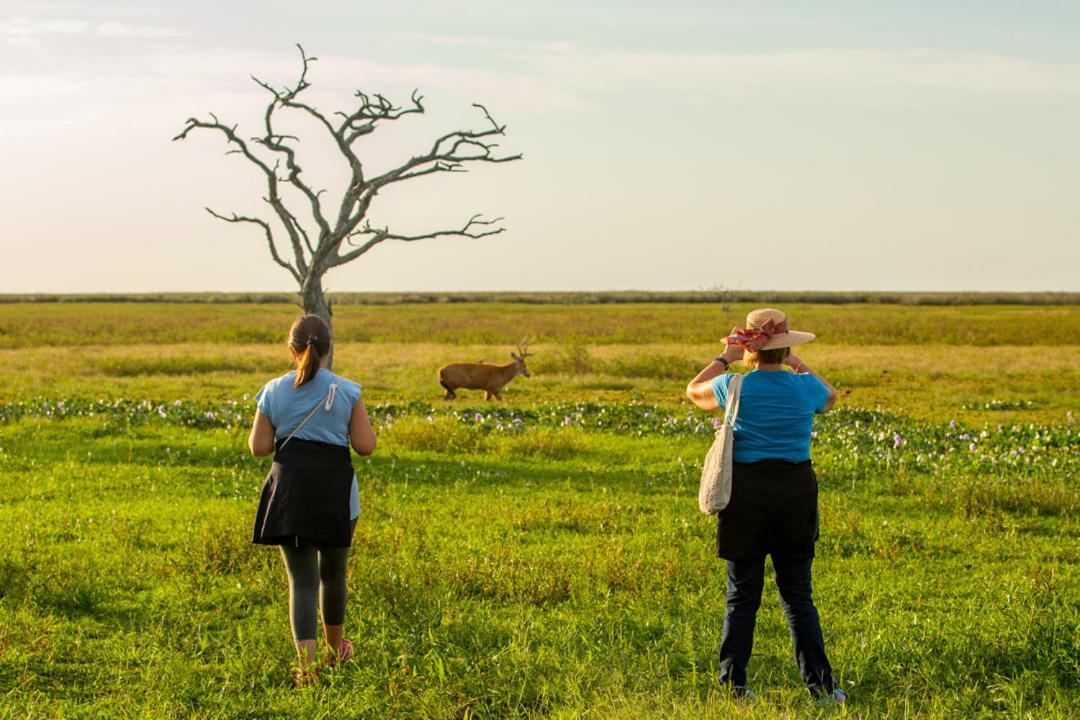 Estancia Iberá