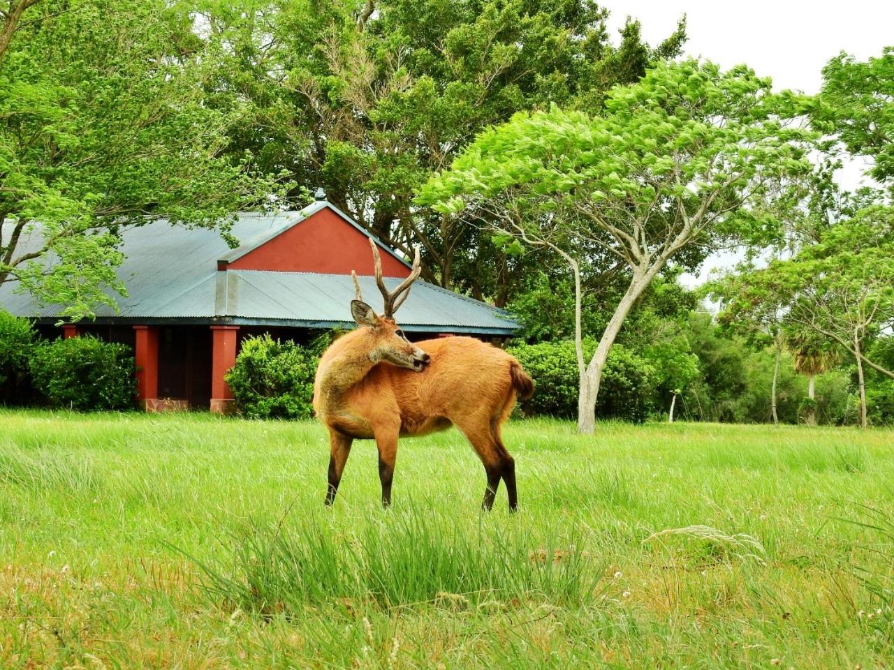 Estancia Iberá