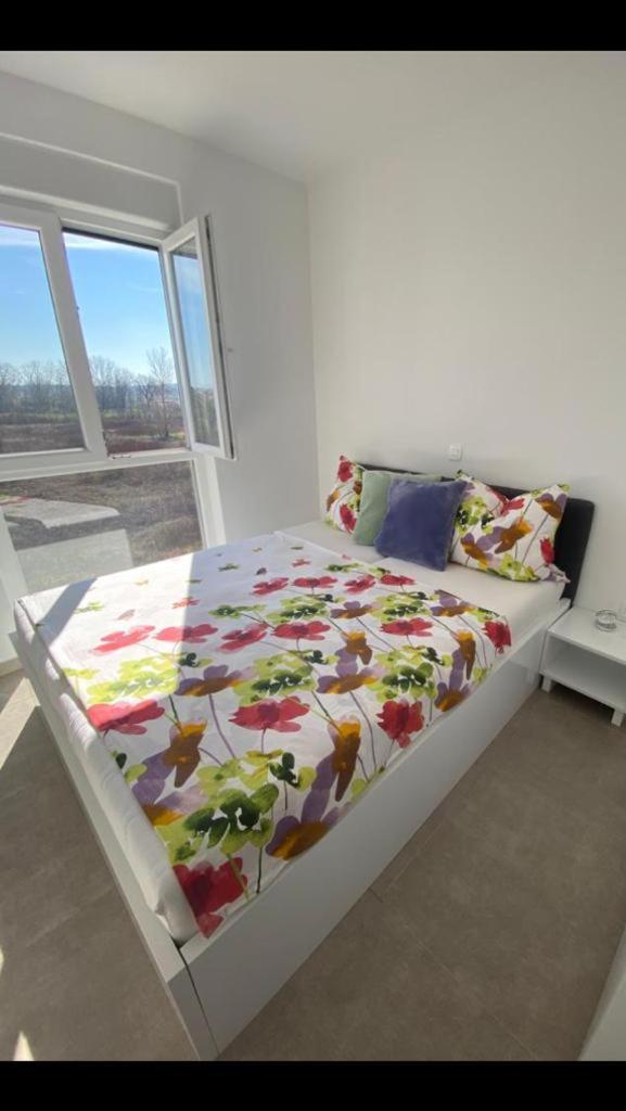 Apartment Oaza