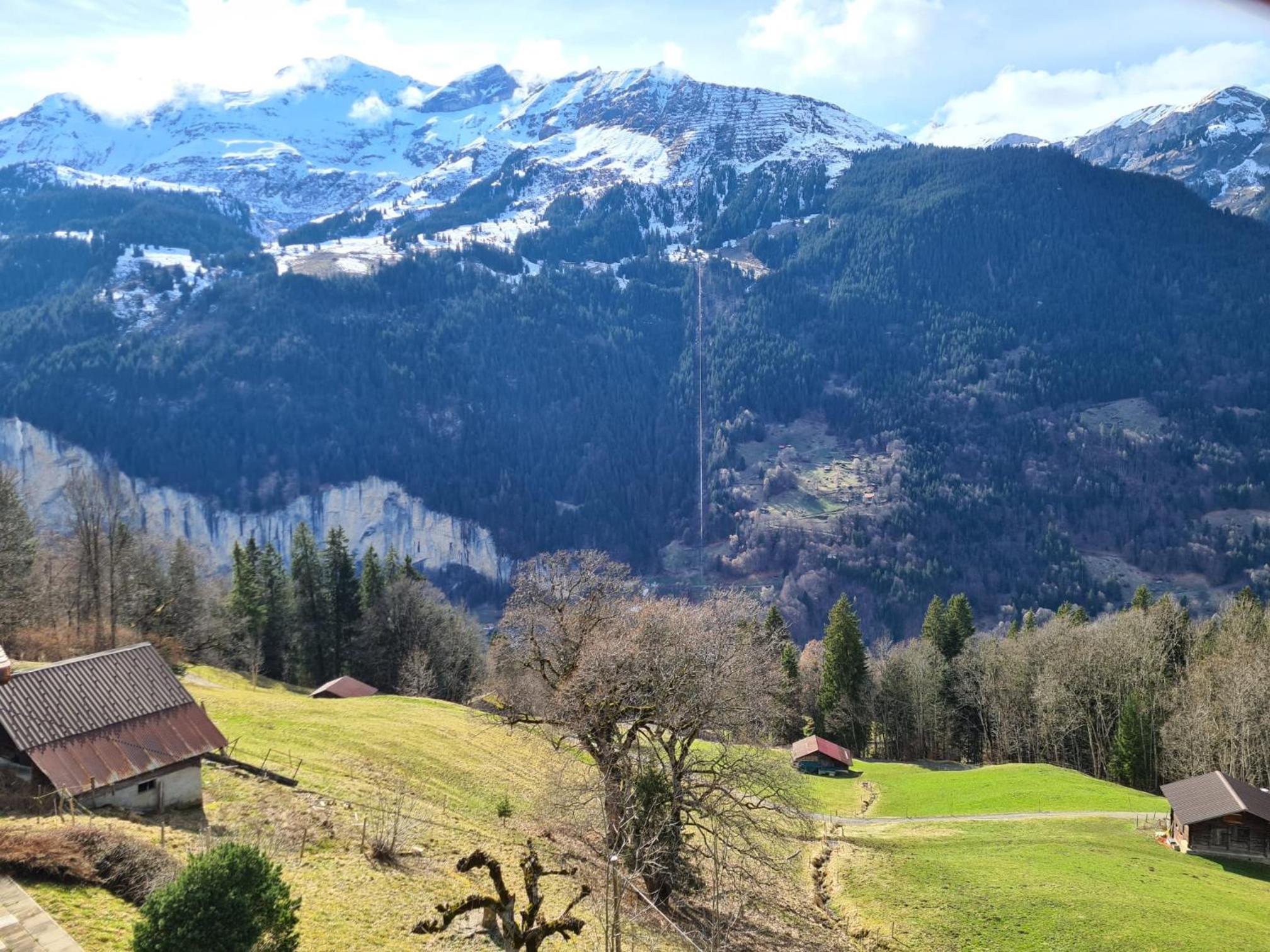 Traditional chalet in Wengen - Top Floor