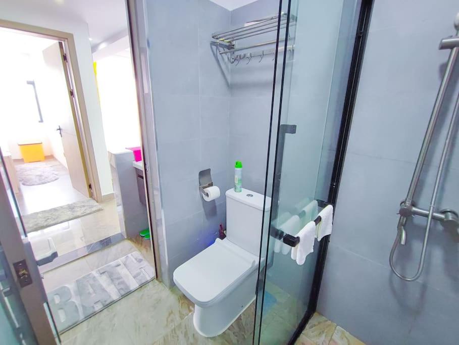 Spacious Stylish Apartment view 2