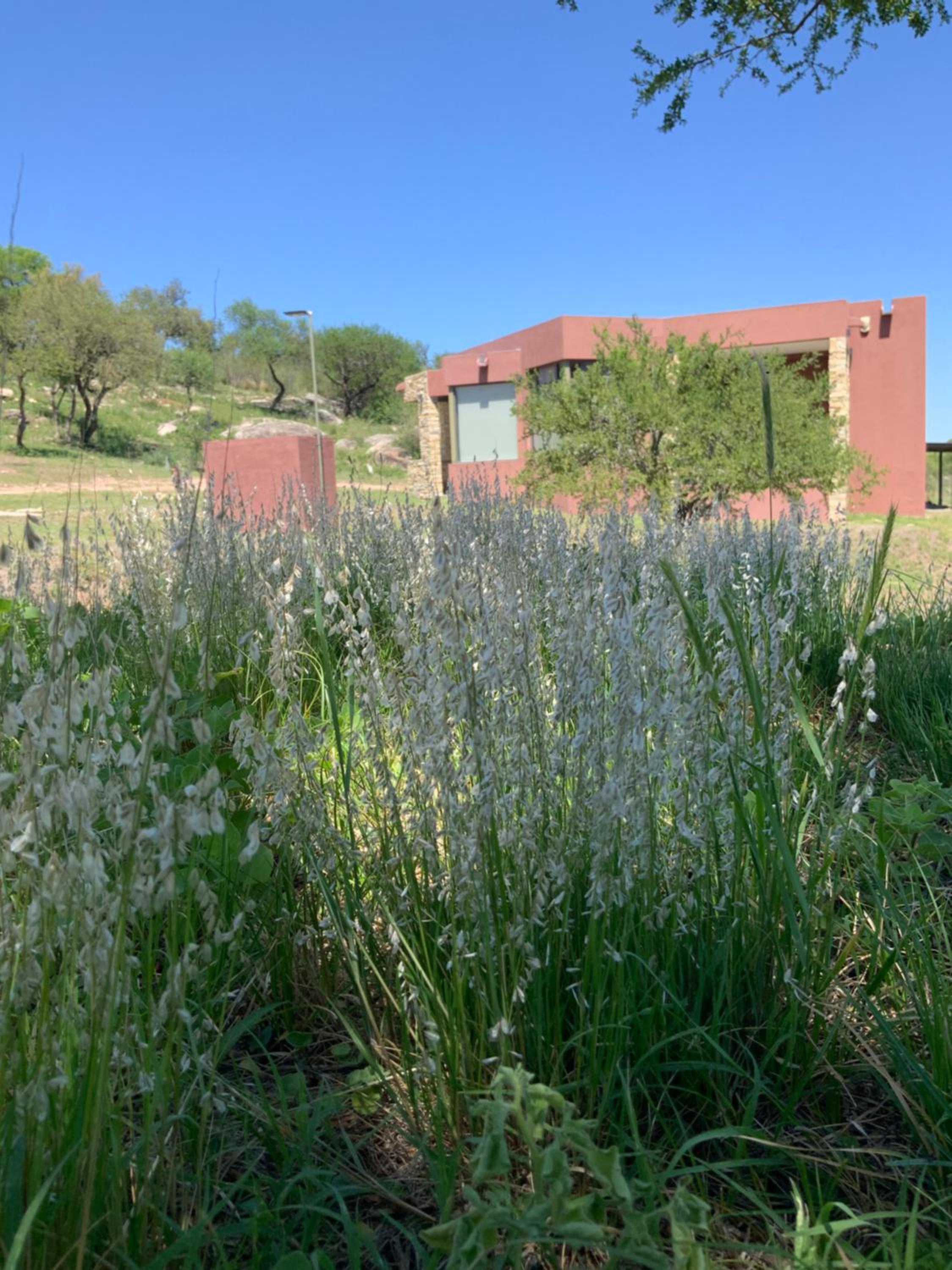 LA TOSCANA casas y suites