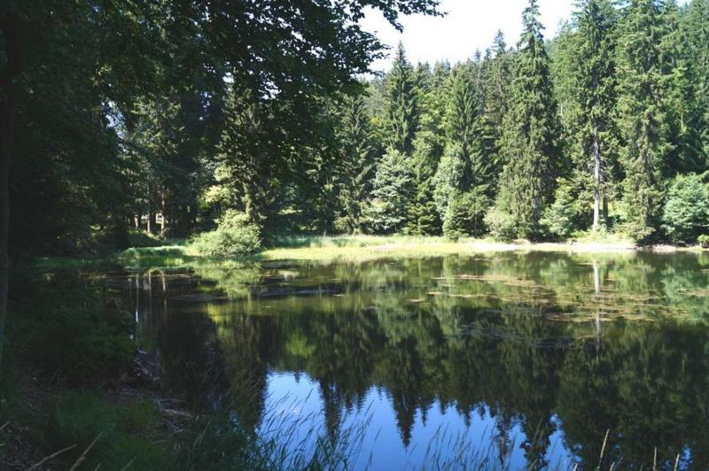 Ferienwohnung Hundeblick