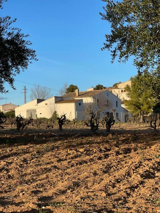 Casa Rural Cal Casetó