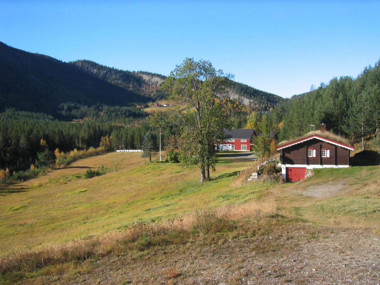Photo 19