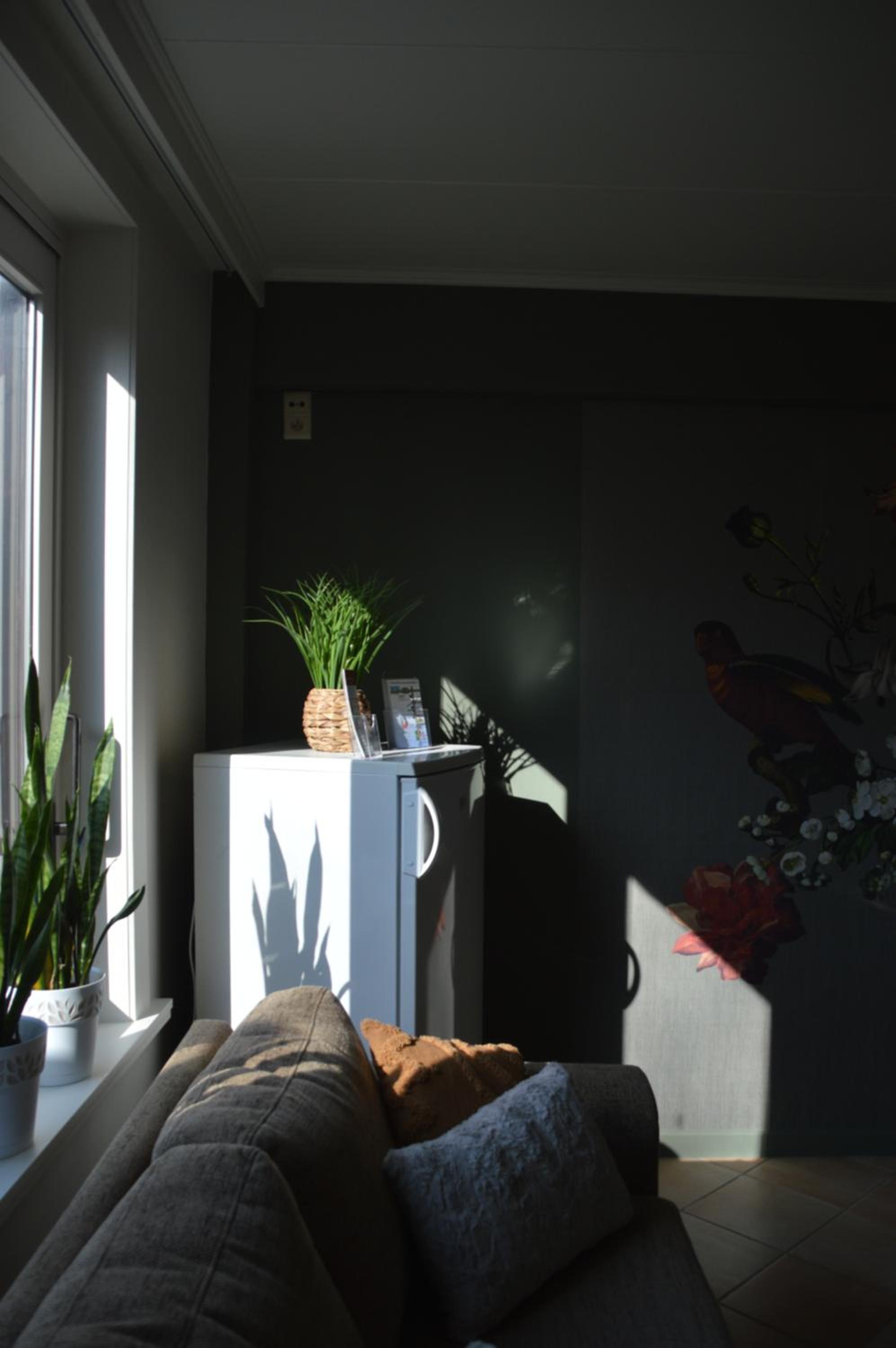 B&B The Protea