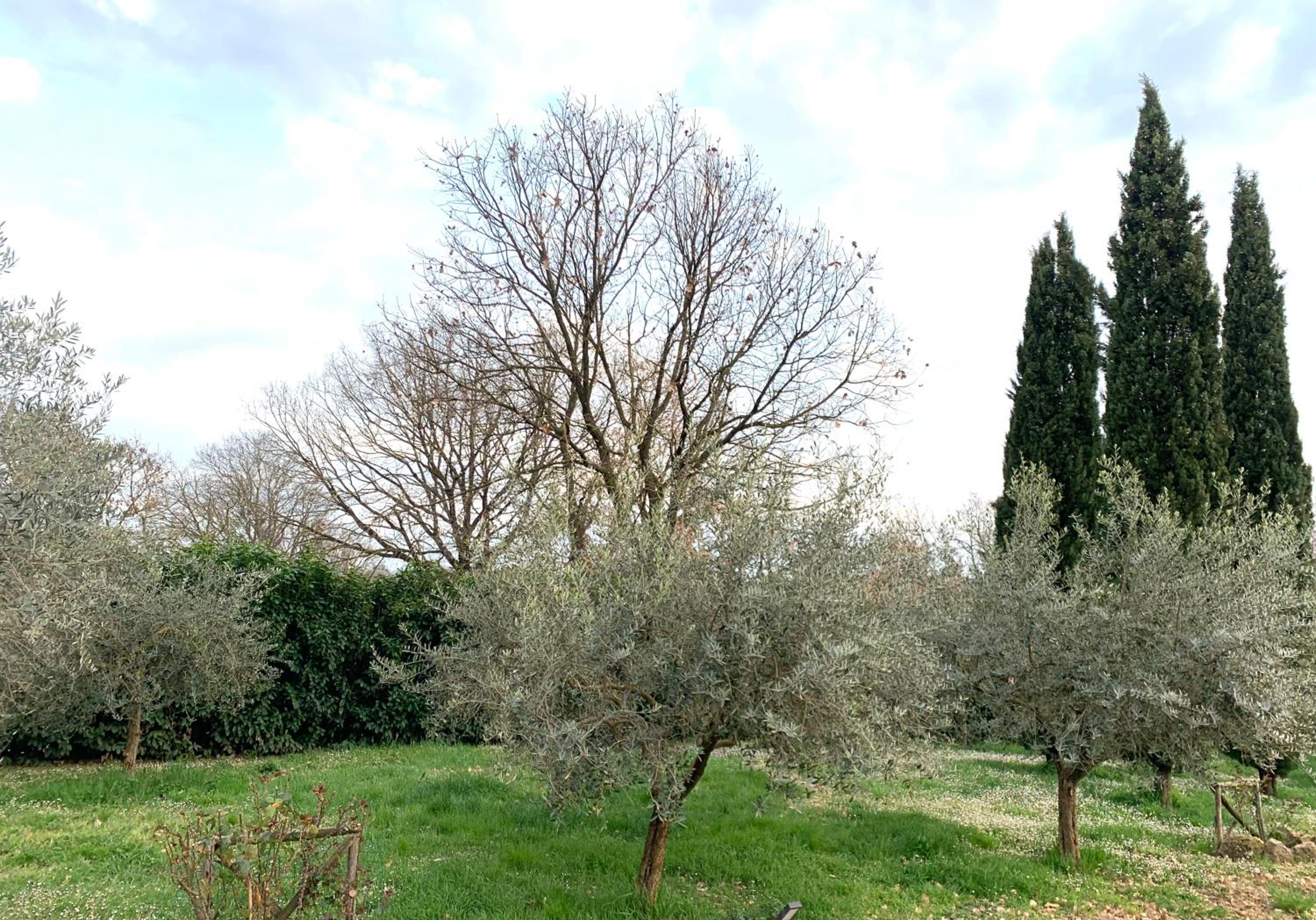 Photo 22