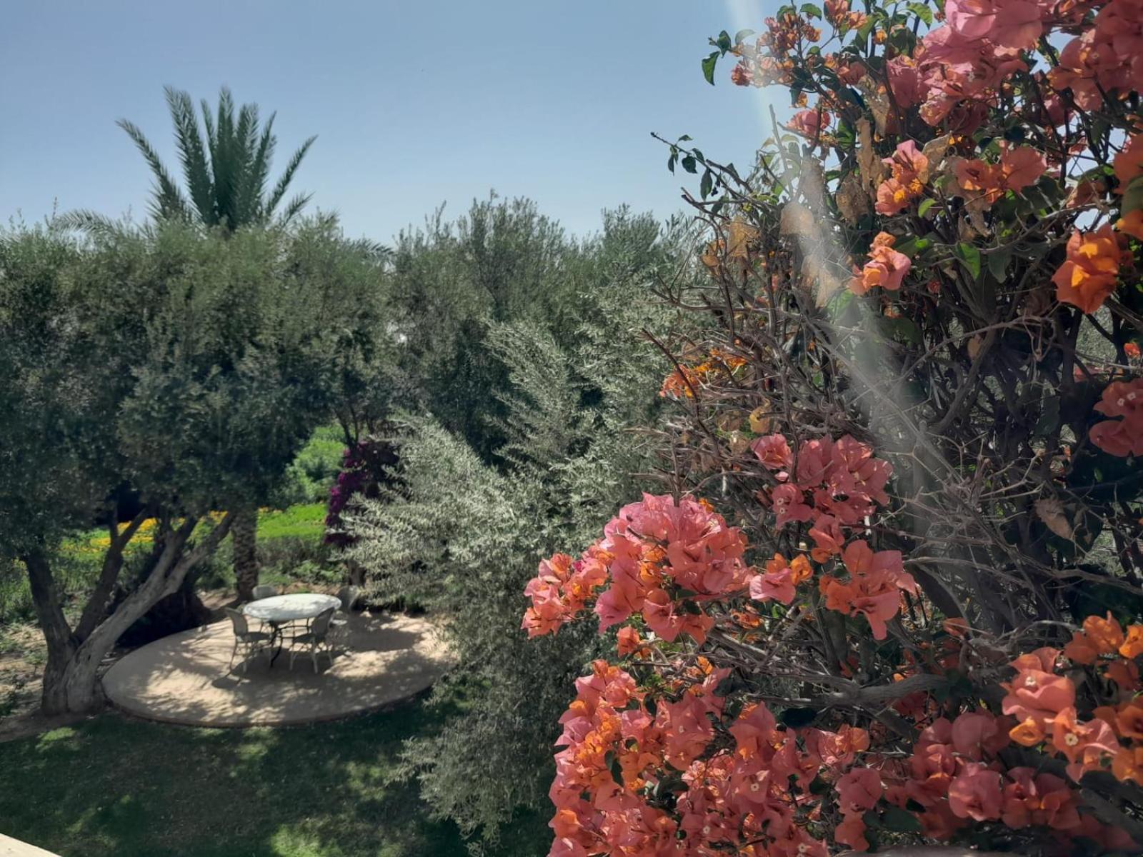Villa Sahar Palmeraie avec piscine chauffée !