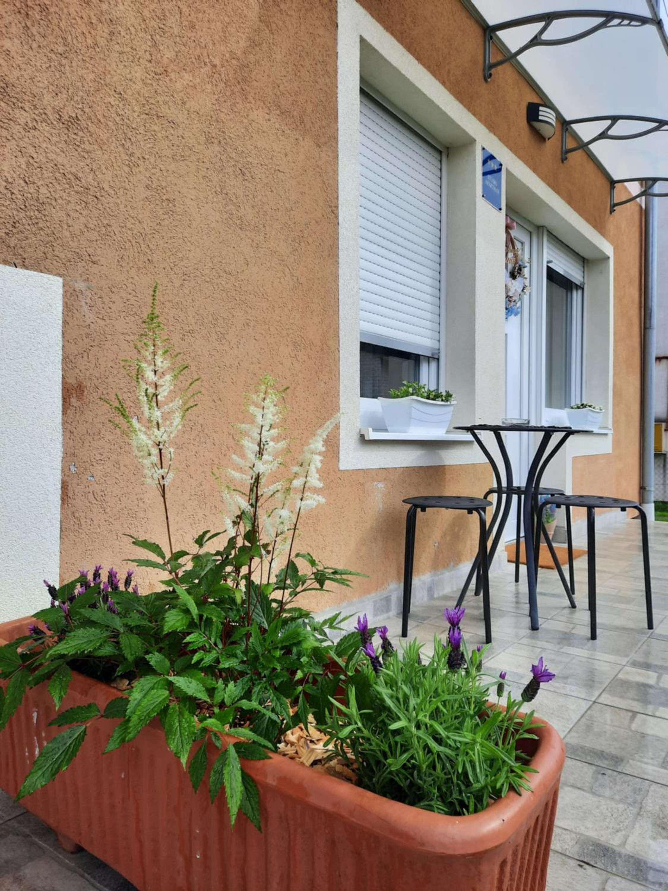 Apartmani Venium