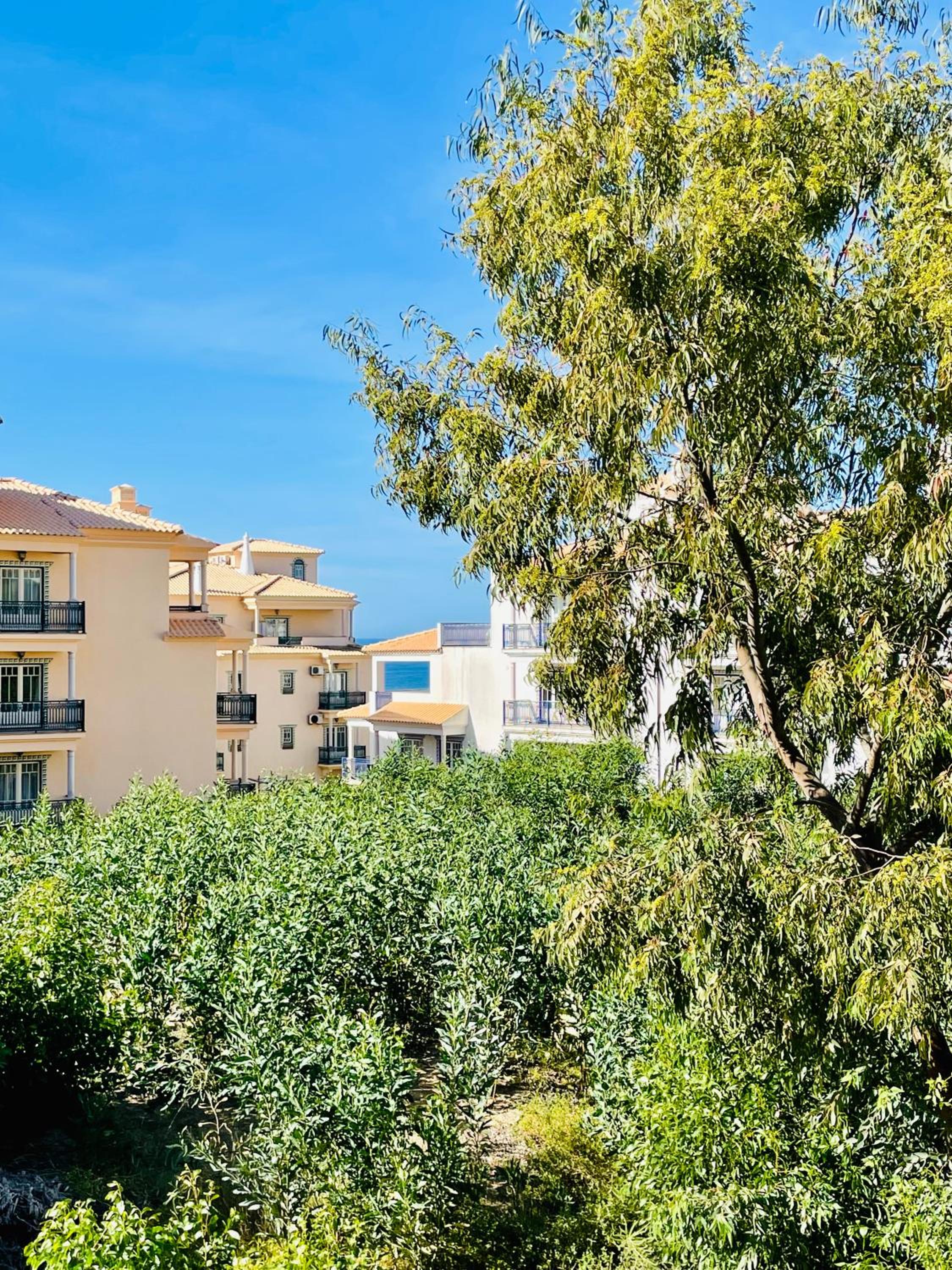 Seashell Apartment OURA view 4