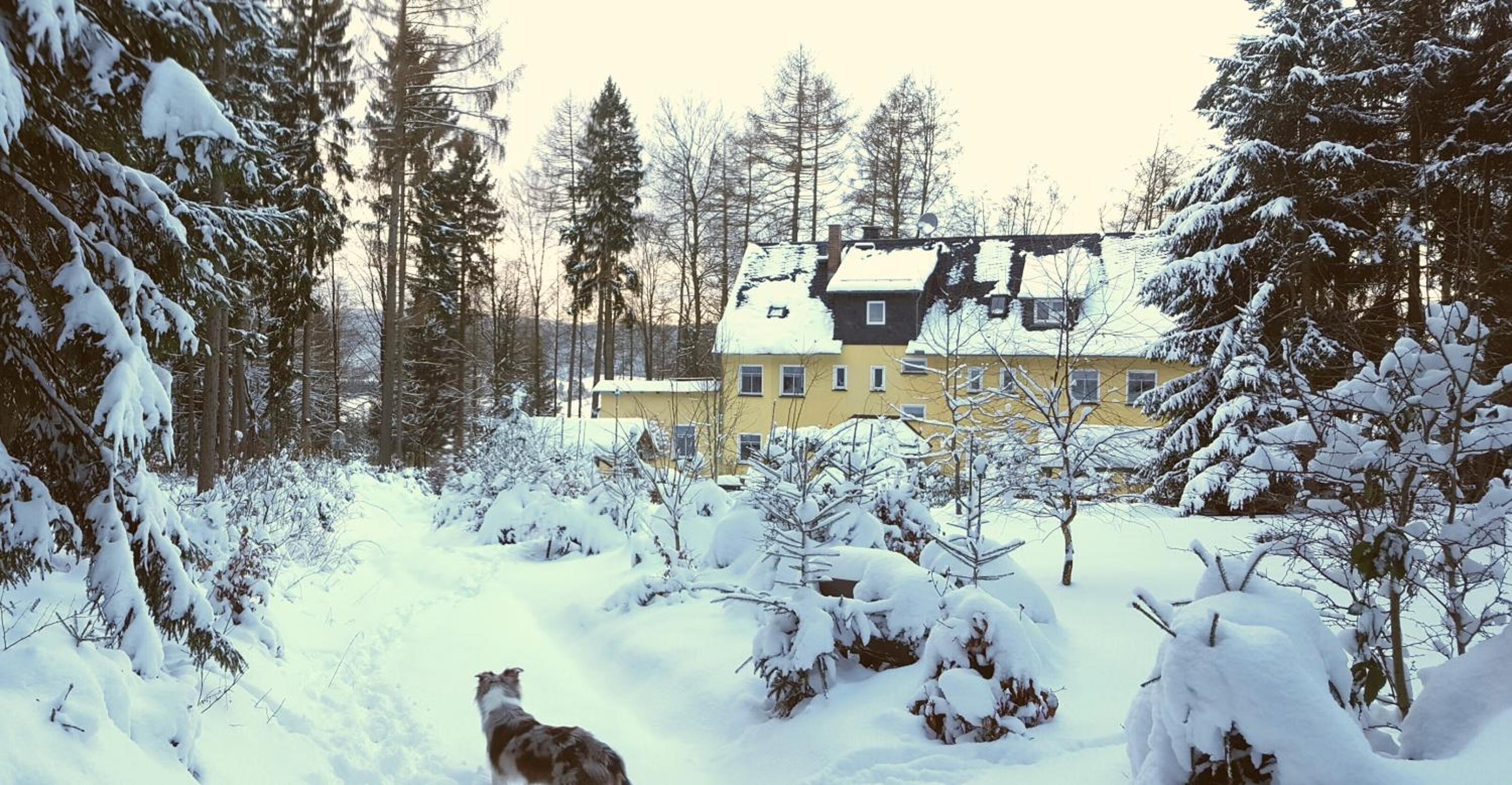 Ferienwohnung Hundeblick