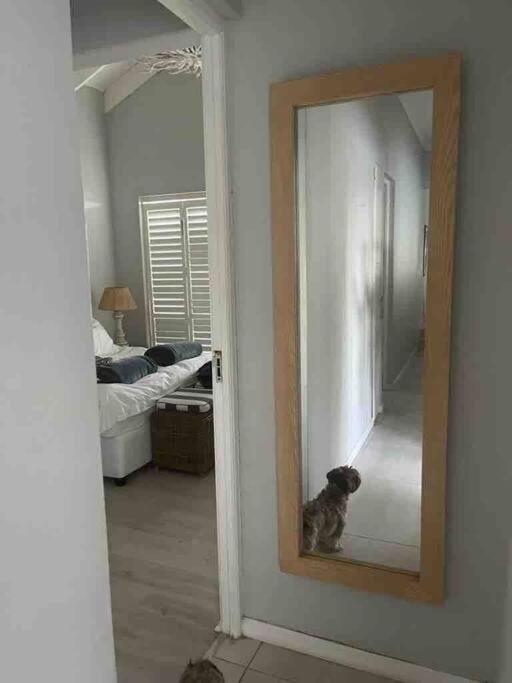 Milkwood Beach House