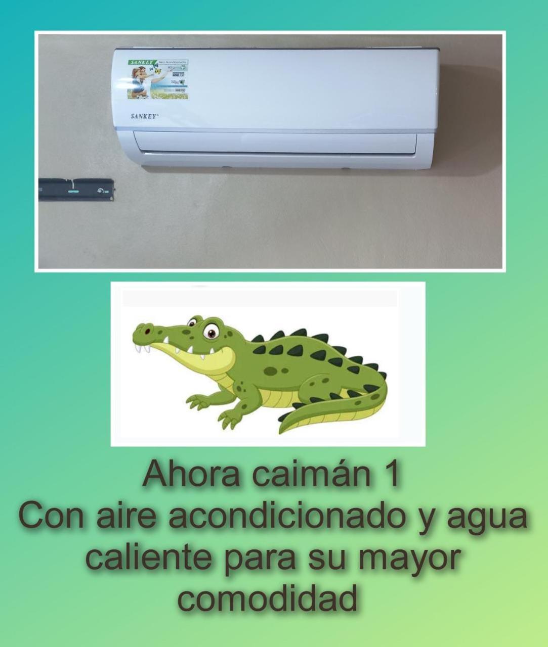 Photo 8